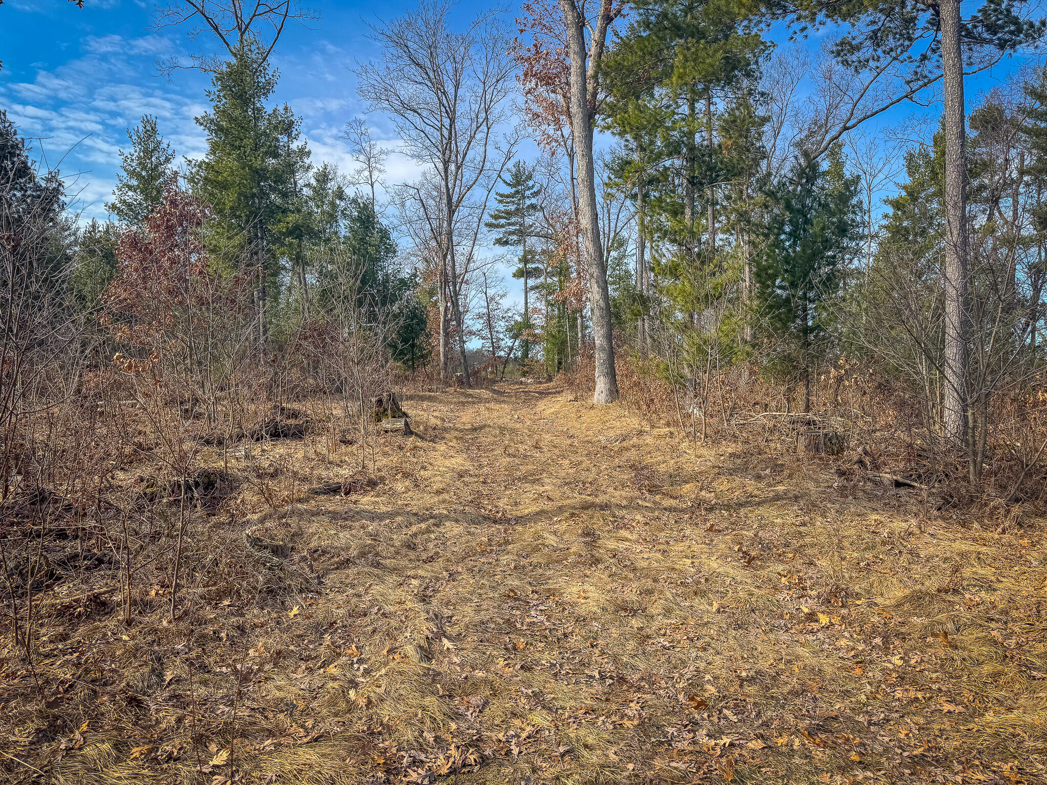 V/l ''c'' Hyde Park Road Whitehall, MI 49461 - Photo 47 of 49 IMG_0419