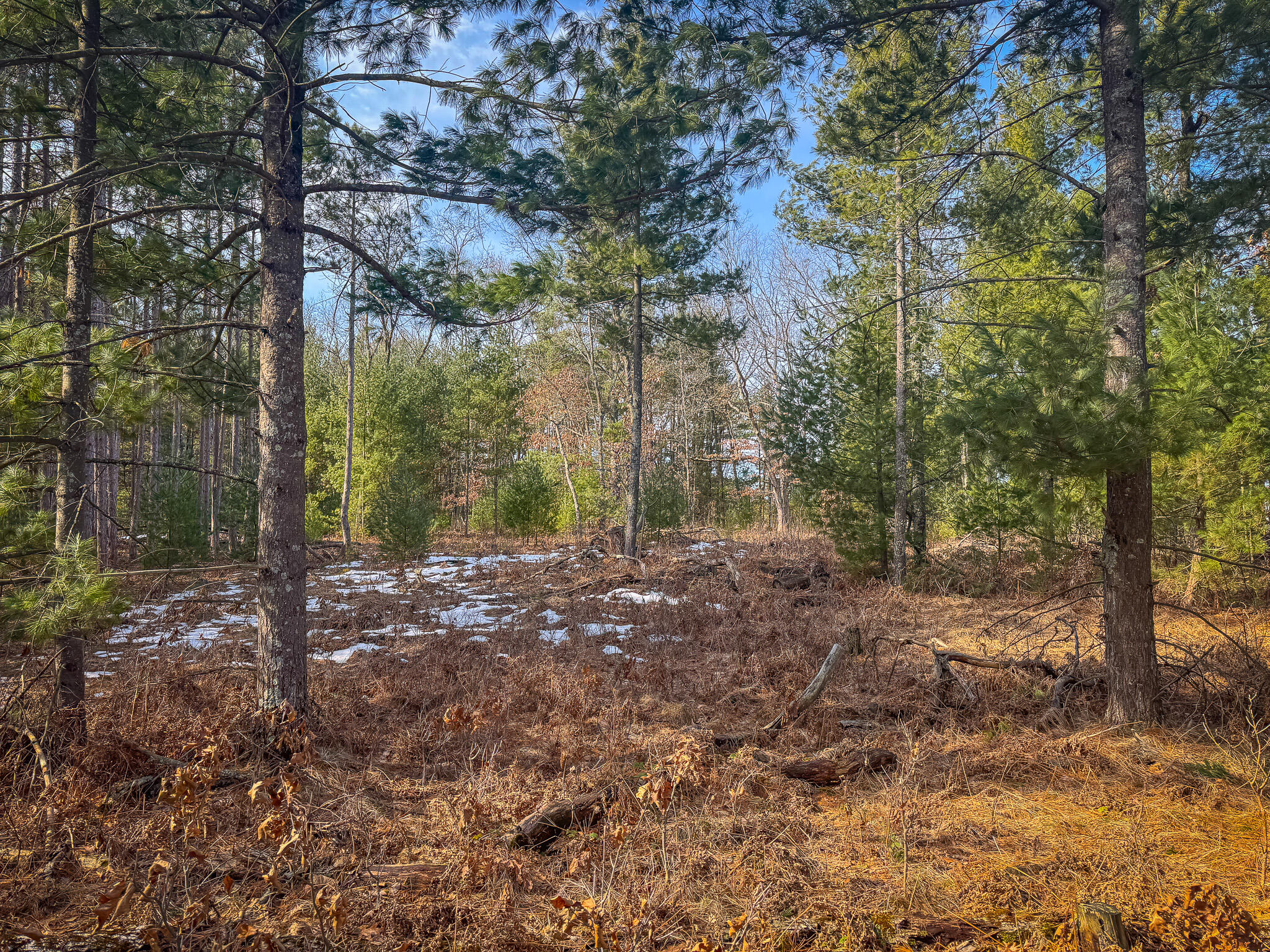 V/l ''c'' Hyde Park Road Whitehall, MI 49461 - Photo 48 of 49 IMG_0423