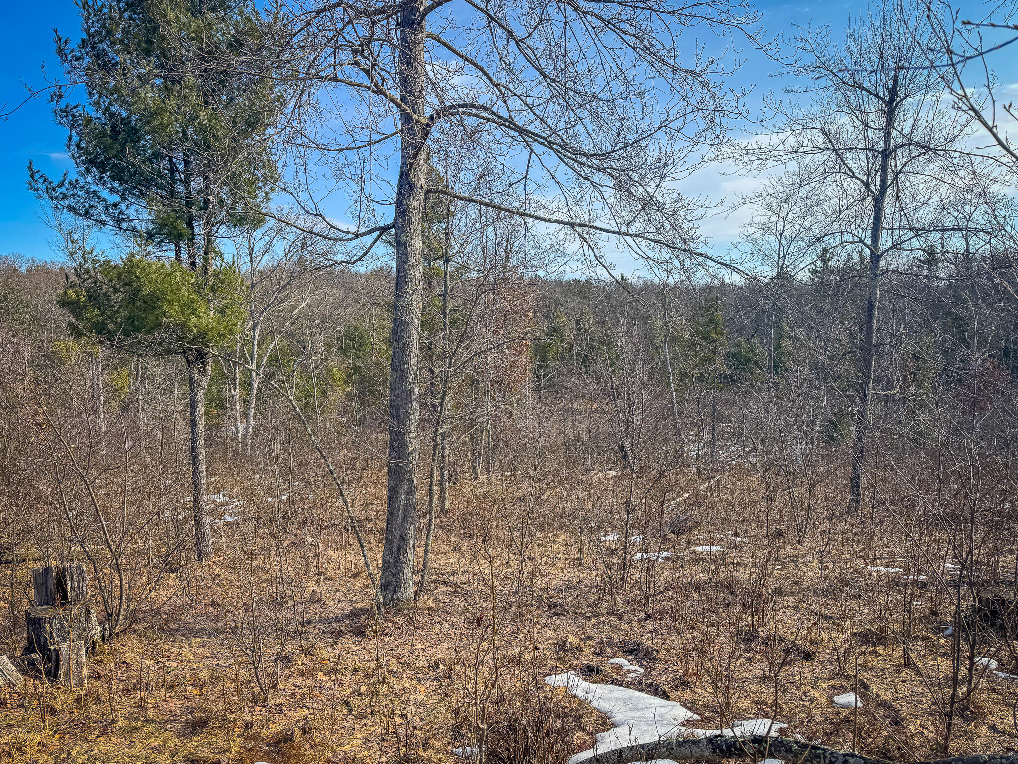 V/l ''c'' Hyde Park Road Whitehall, MI 49461 - Photo 49 of 49 IMG_0426