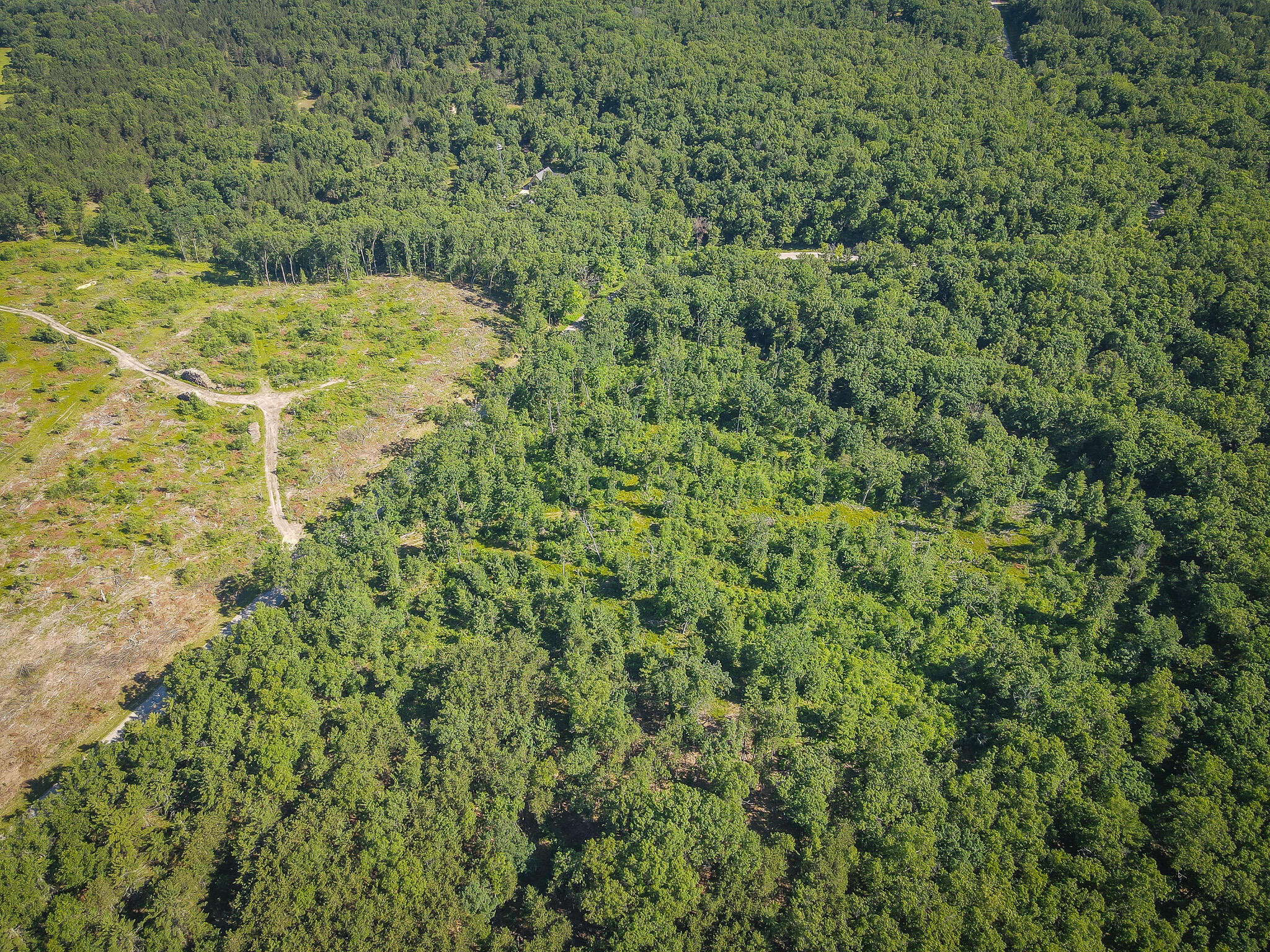V/l ''c'' Hyde Park Road Whitehall, MI 49461 - Photo 7 of 49 DJI_0054