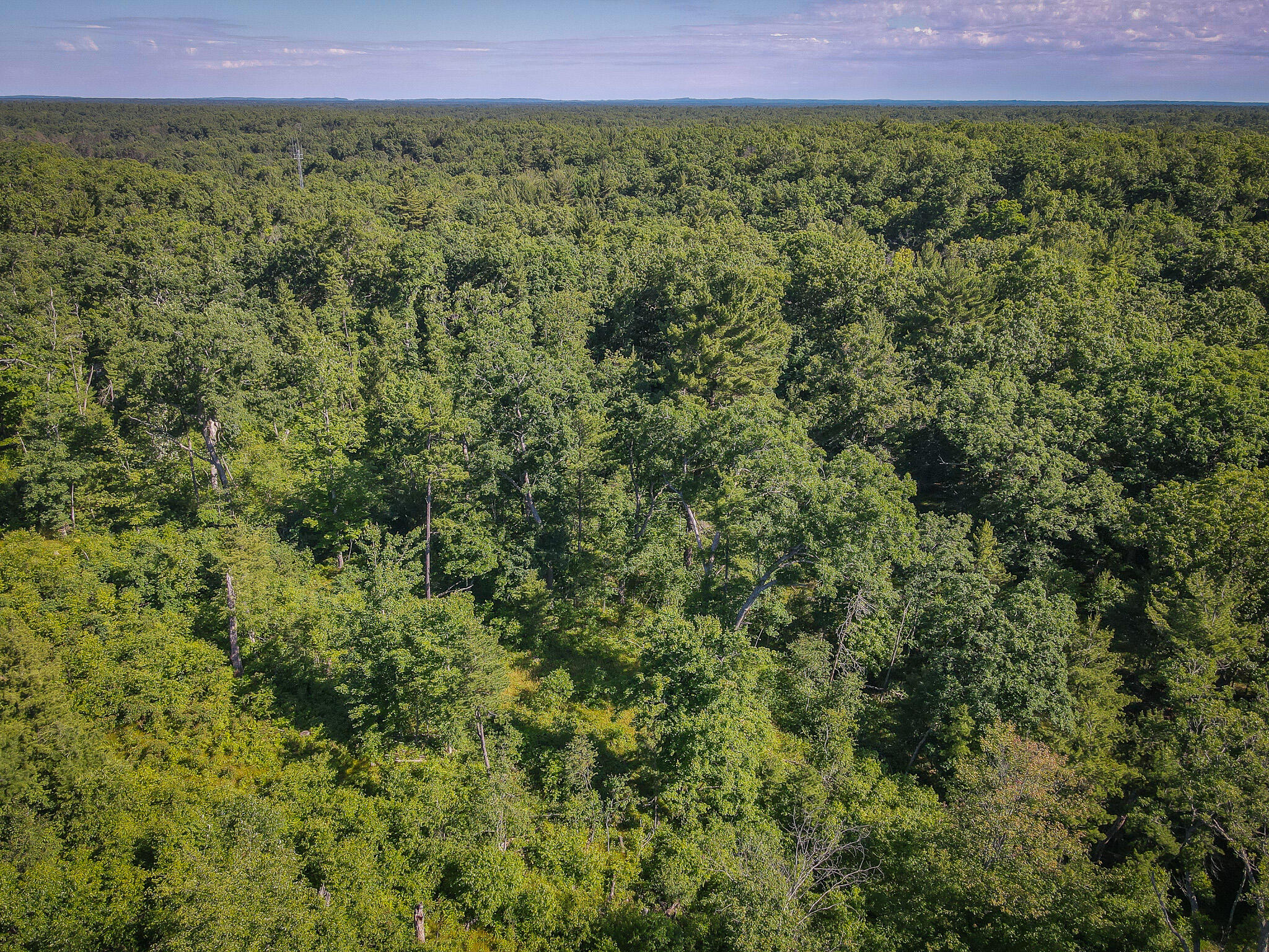 V/l ''c'' Hyde Park Road Whitehall, MI 49461 - Photo 10 of 49 DJI_0061