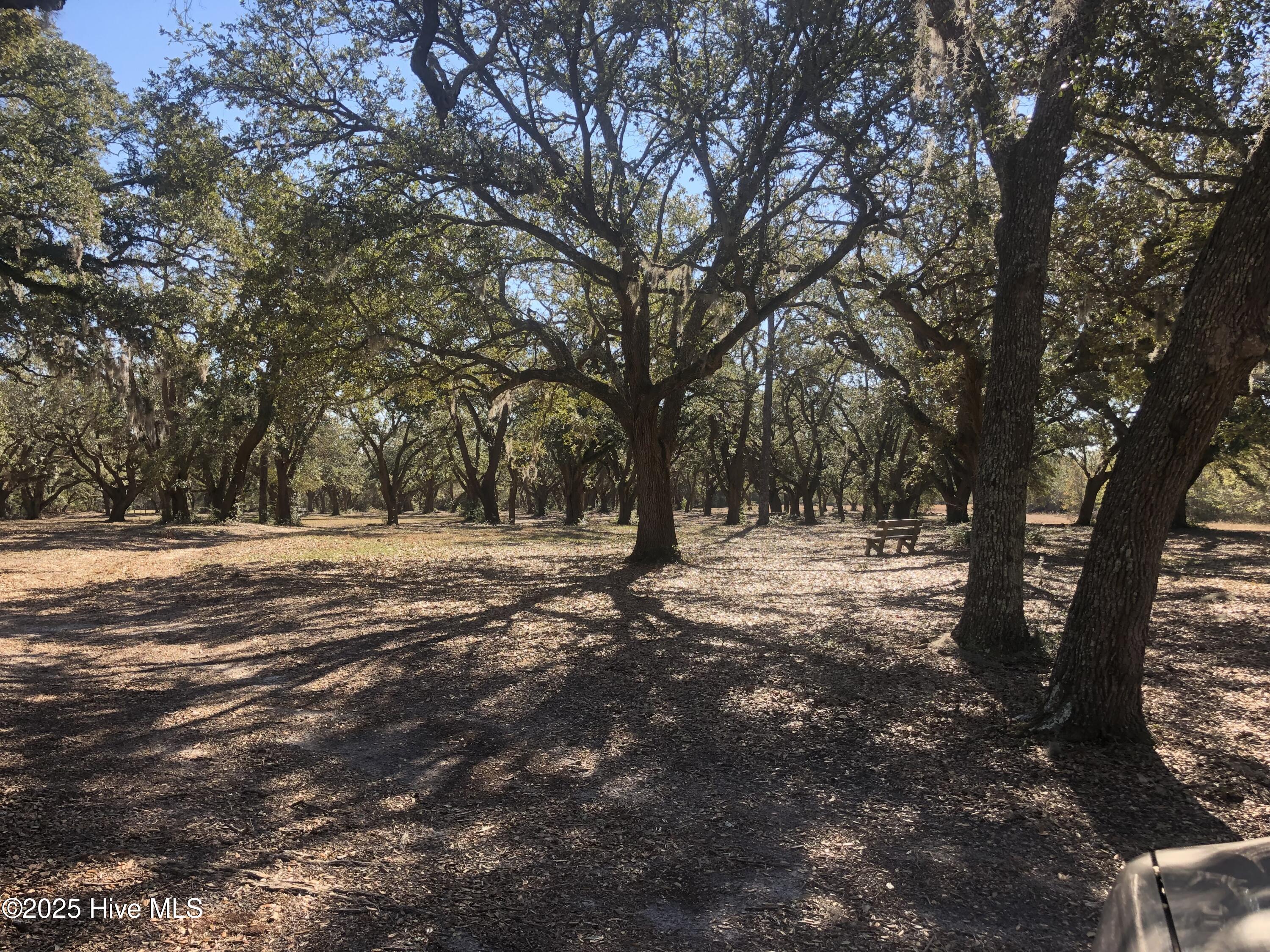369 Holly Ridge Road Holly Ridge, NC 28445 - Photo 10 of 10 IMG_0758