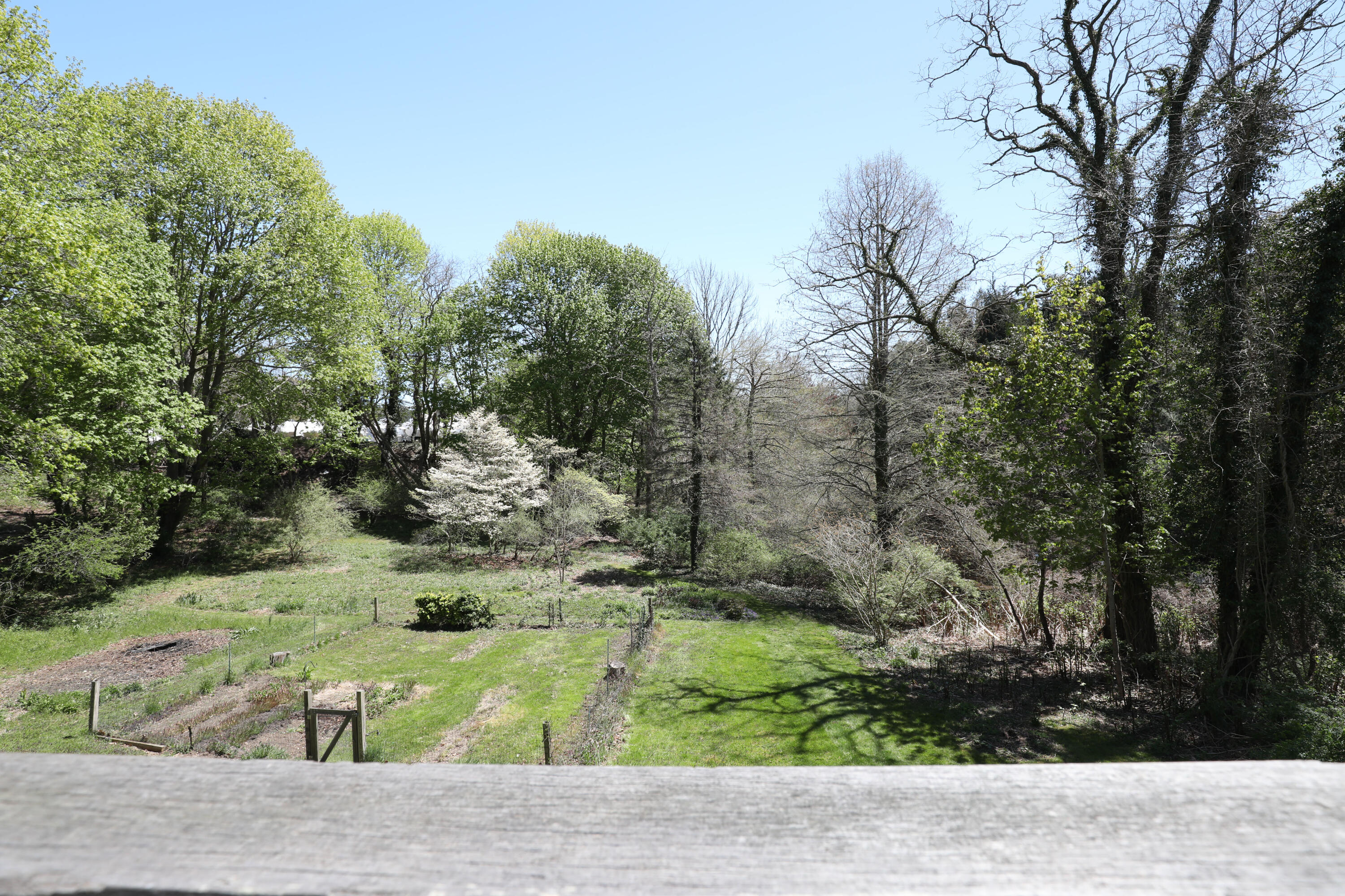 1295 County Road Cataumet, MA 02534 - Photo 11 of 16 a view of a yard with trees