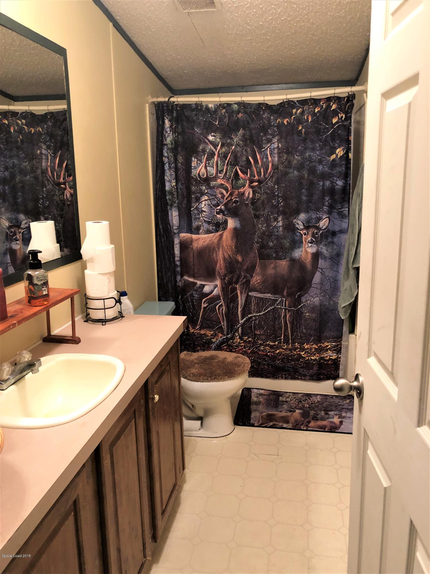 4795 Harrison Road Mims, FL 32754 - Photo 2 of 19 Guest Bathroom