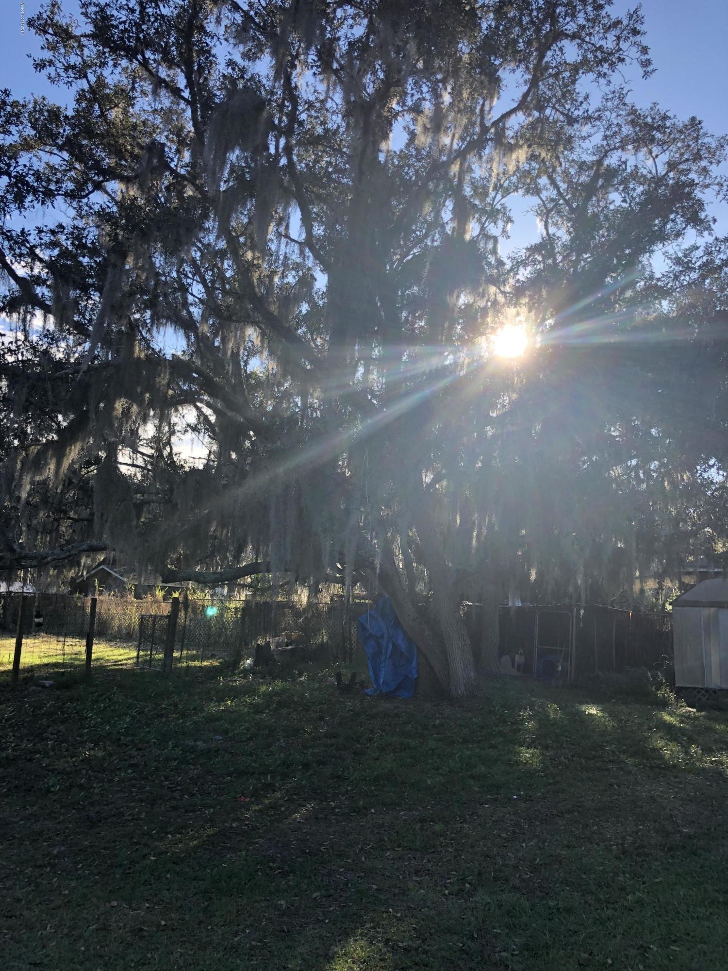 4795 Harrison Road Mims, FL 32754 - Photo 19 of 19 IMG_1551