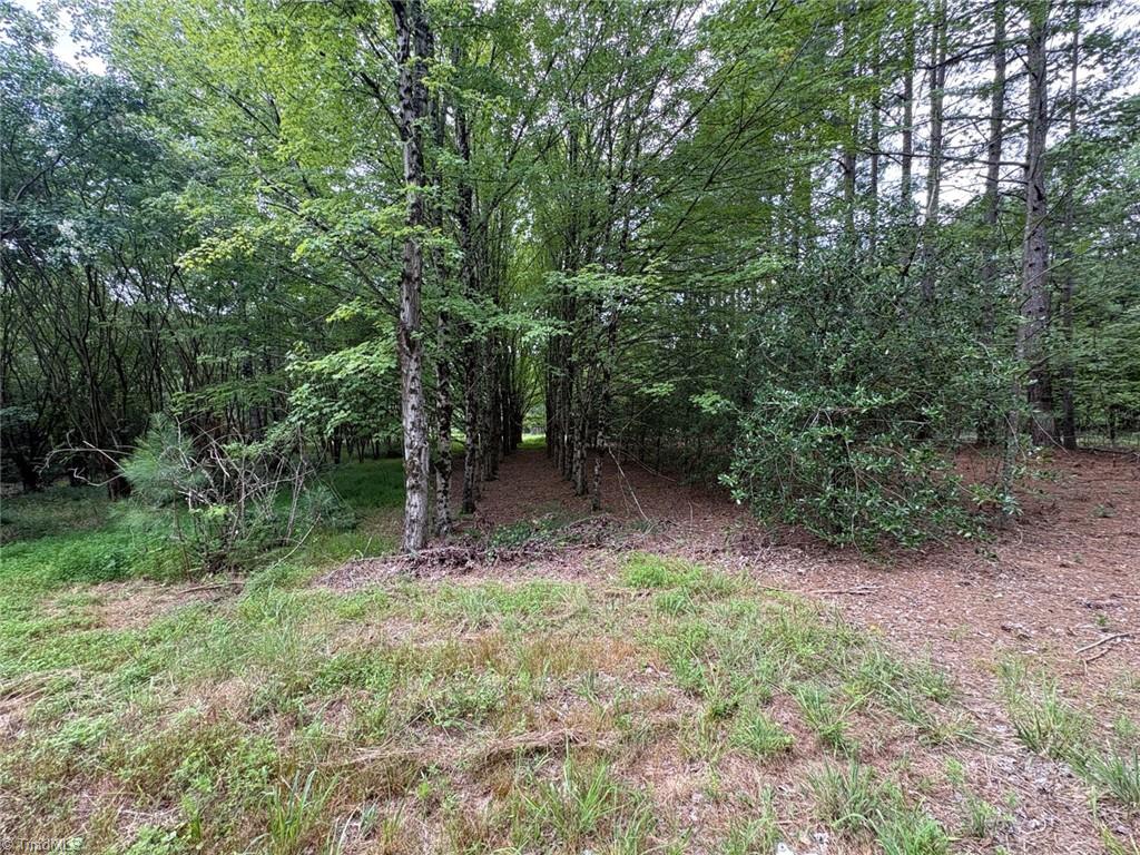 207 Cockerham Road Elkin, NC 28621 - Photo 42 of 42 Gallery Image 42