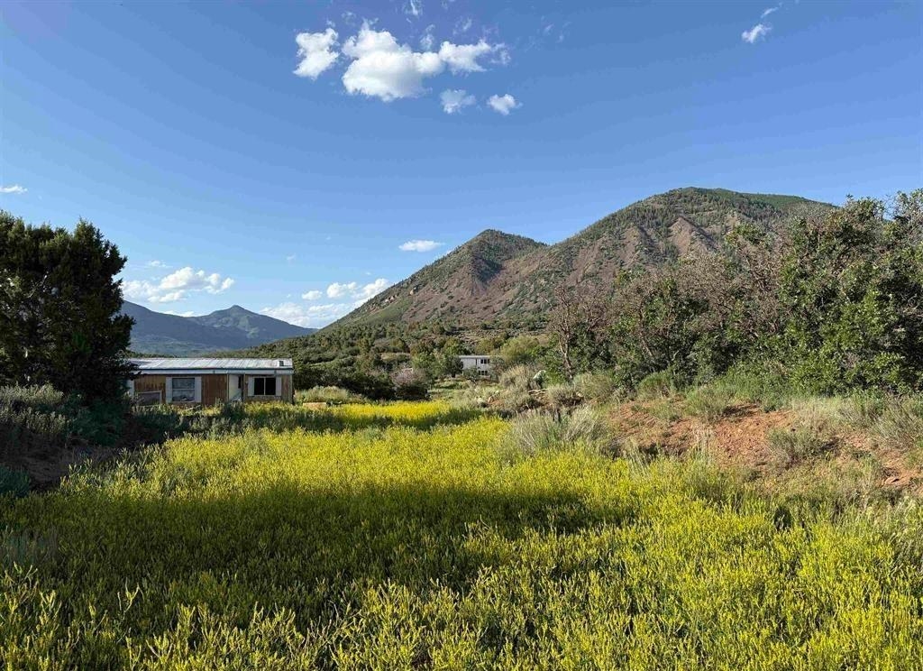 43867 Long Gulch Road Crawford, CO 81415 - Photo 35 of 42 Gallery Image 35