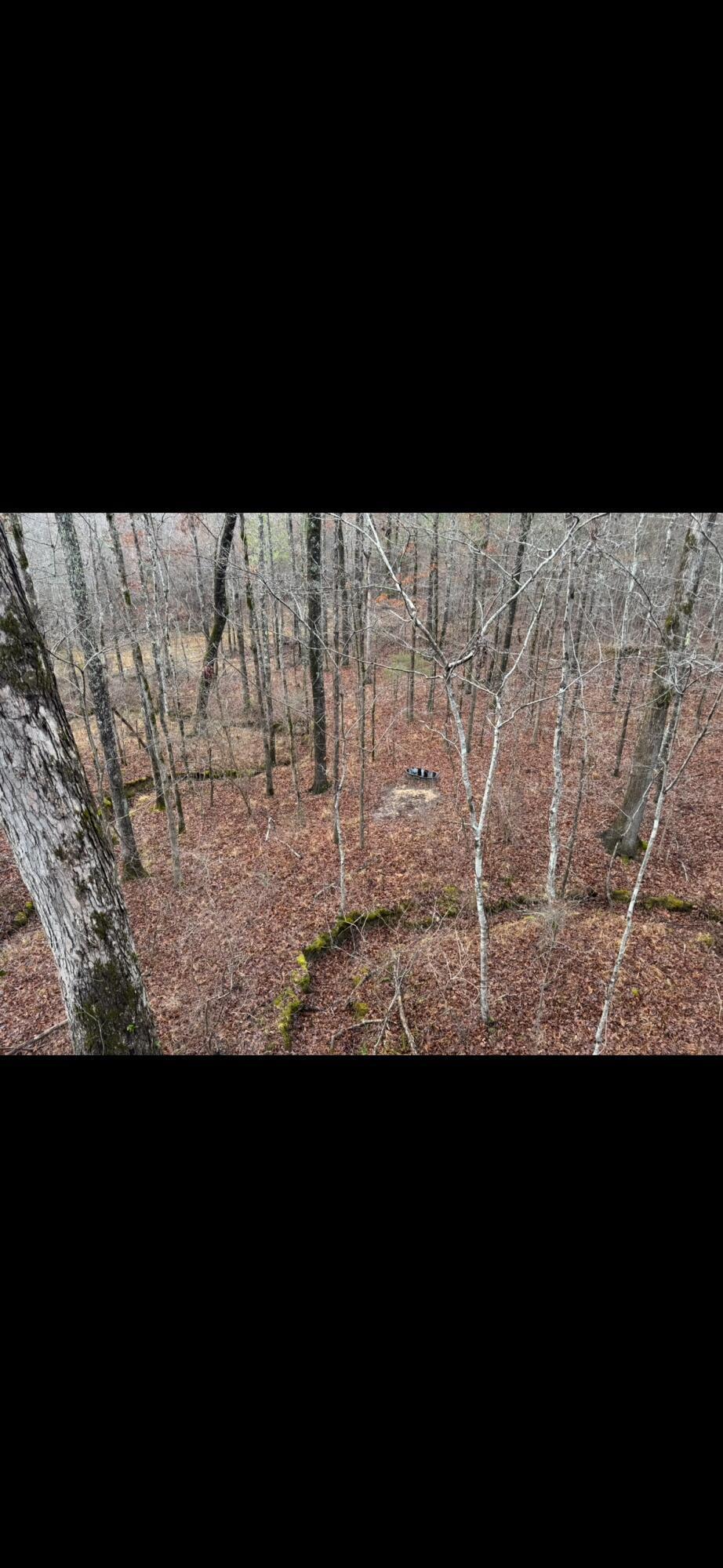 26 County Road Detroit, AL 35552 - Photo 18 of 24 IMG_6249