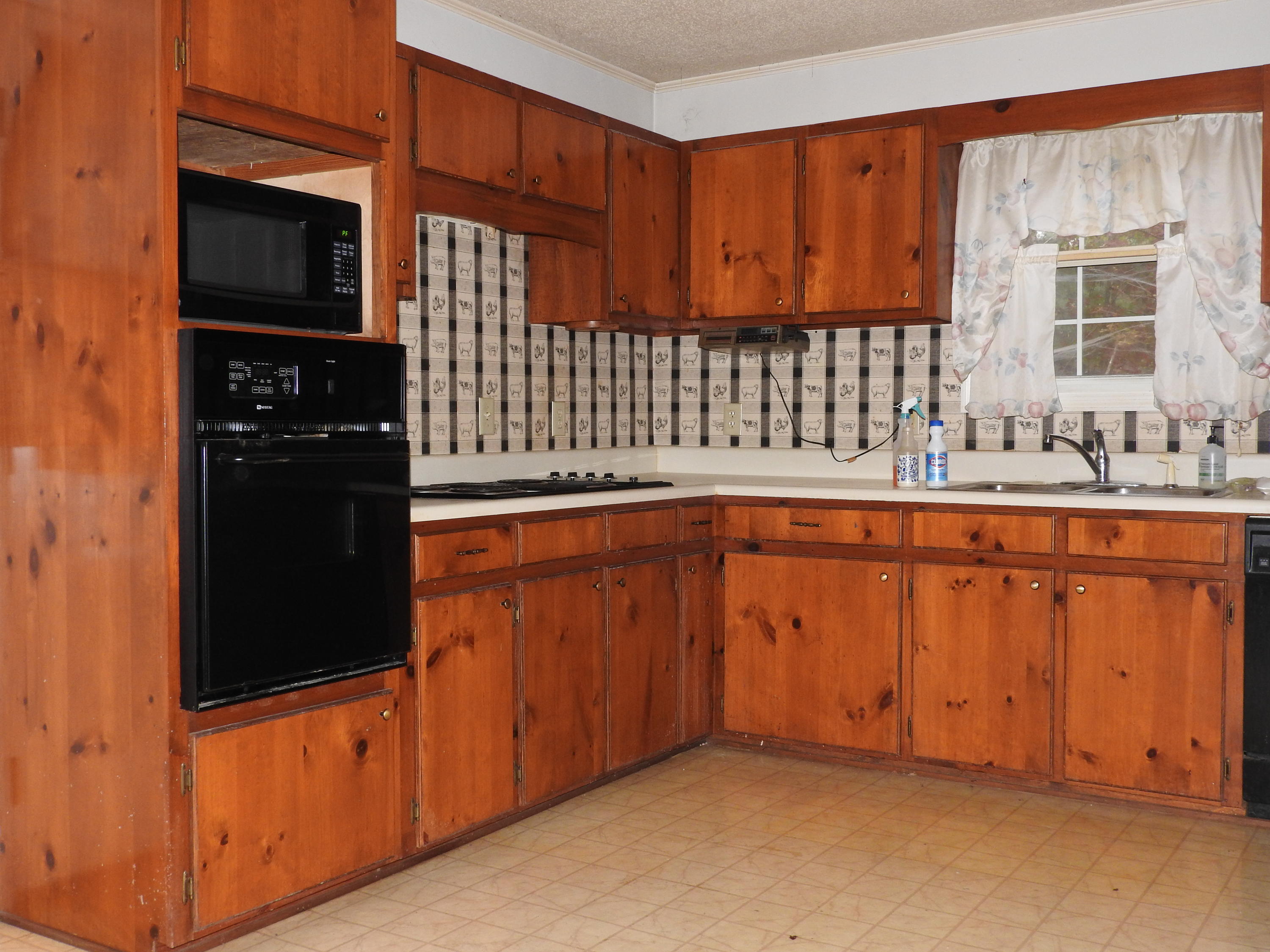 431 Green Shadow Road Cleveland, TN 37323 - Photo 6 of 20 Kitchen
