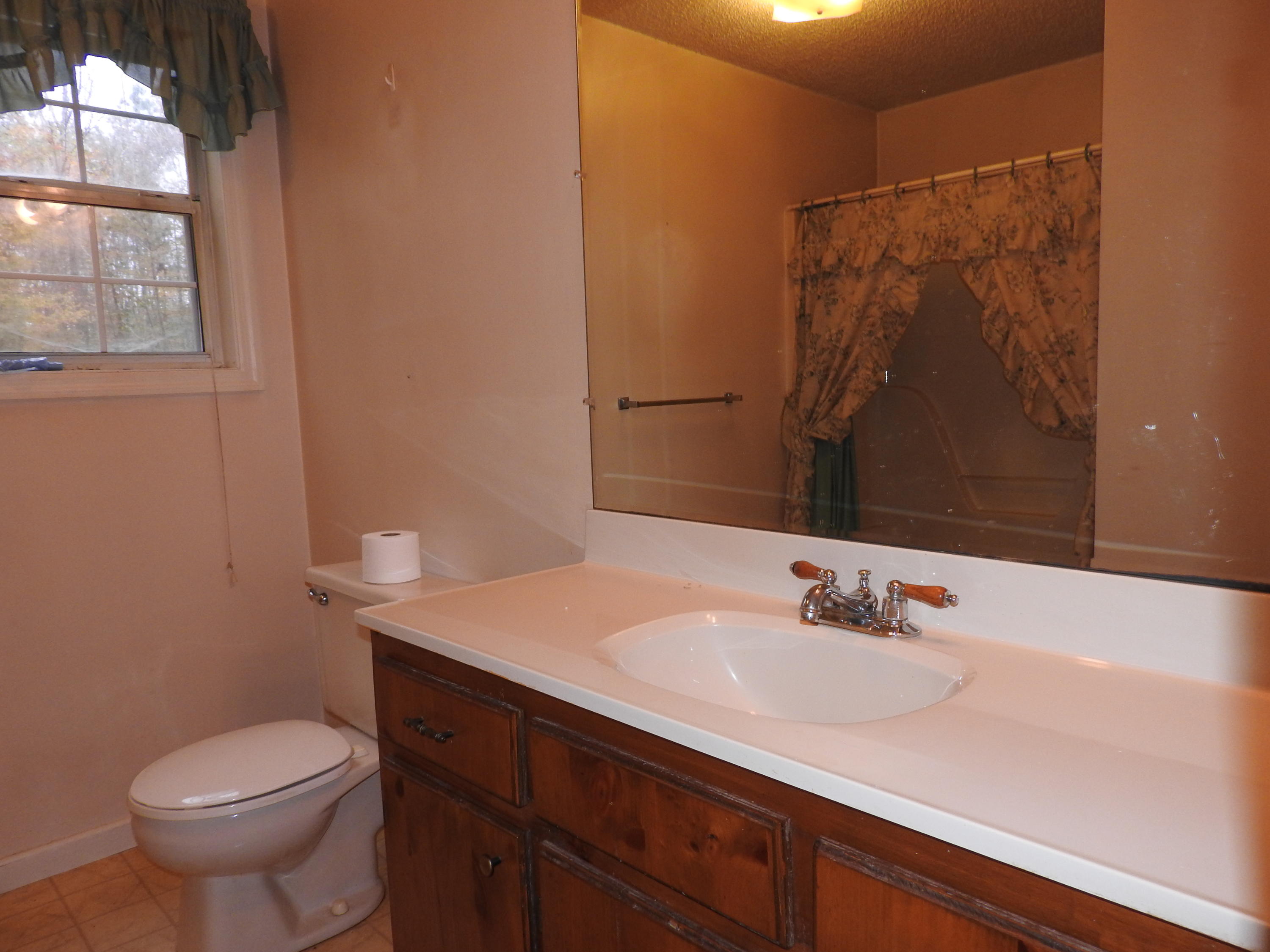 431 Green Shadow Road Cleveland, TN 37323 - Photo 10 of 20 Master Bath