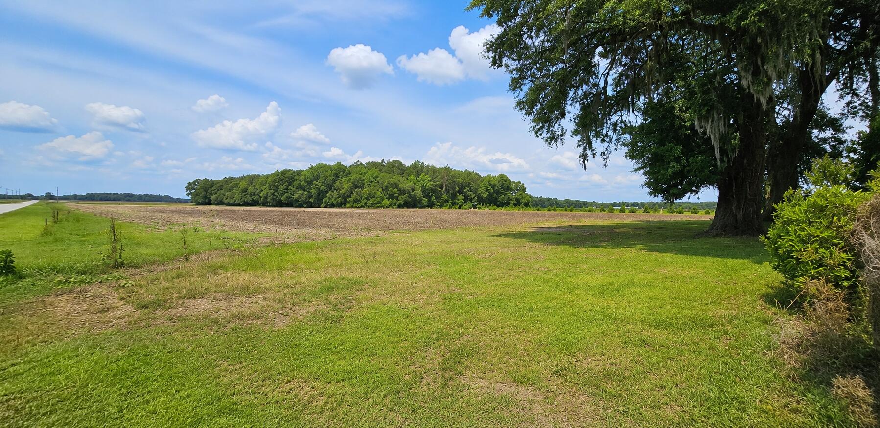 124 Whistling Swan Road Elloree, SC 29047 - Photo 7 of 21
