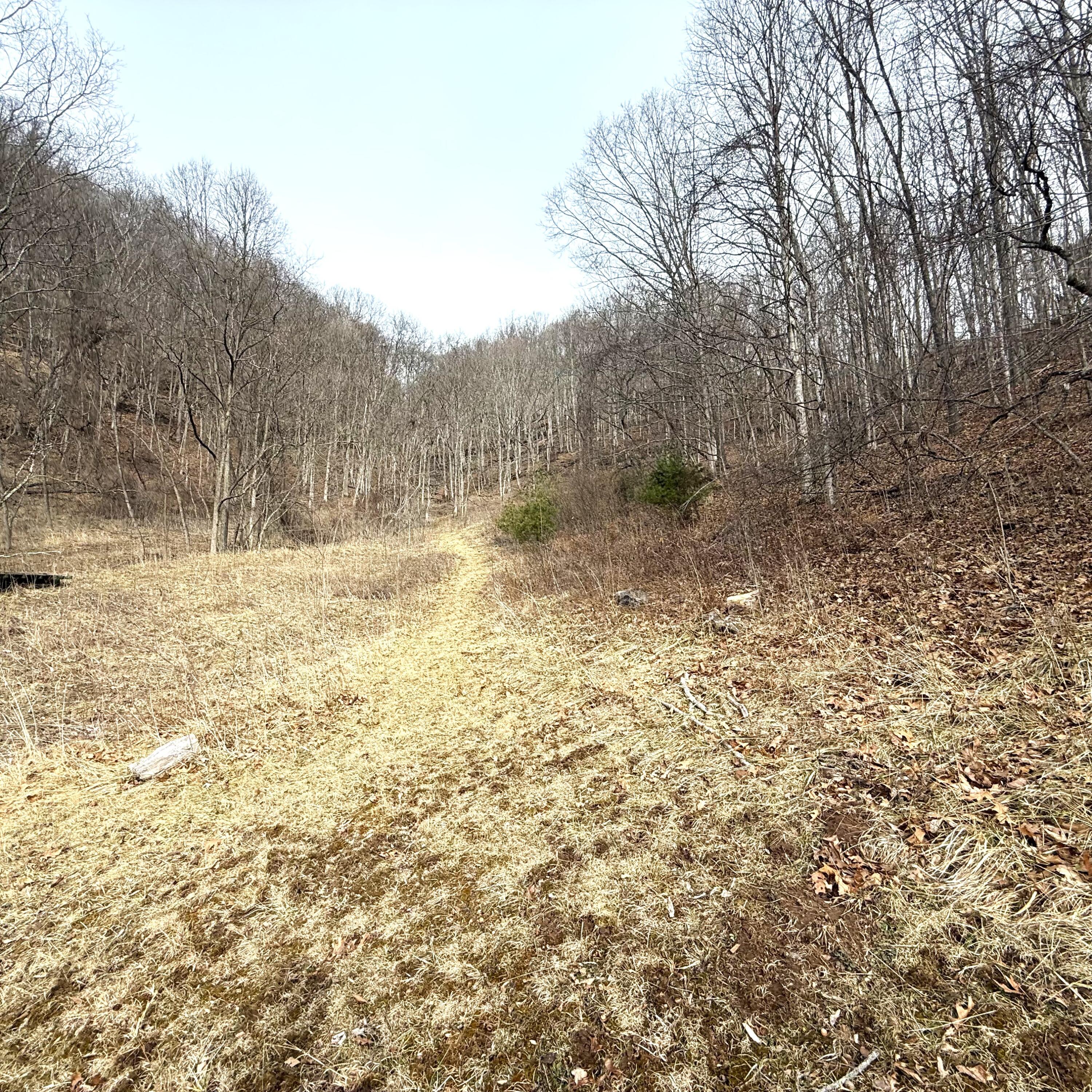 3259 Julia Road Renick, WV 24966 - Photo 36 of 37 IMG_7869 (002)
