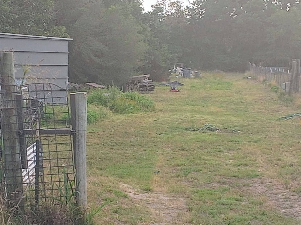 925 Cattlemens Row Lockhart, TX 78644 - Photo 14 of 26