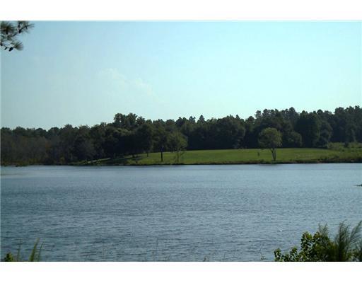 Lot 35 Lot Road Lucedale, MS 39452 - Photo 5 of 8 Additional Photo