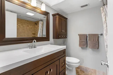 a bathroom with a sink a toilet a mirror and vanity