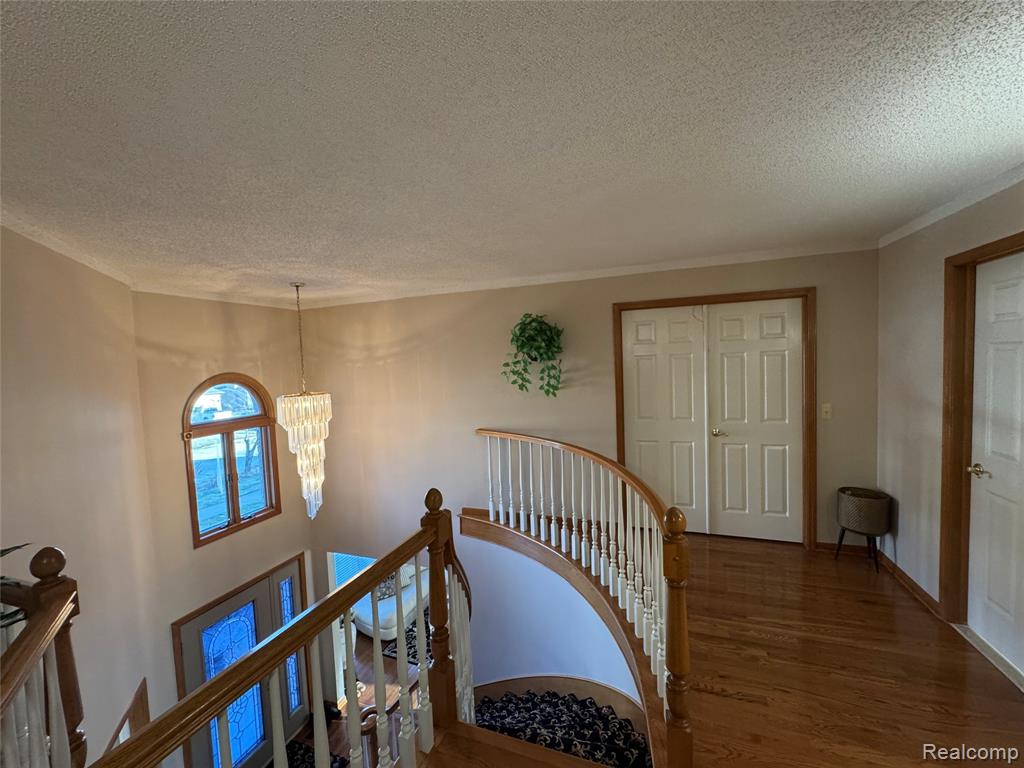 48583 Tilch Road Macomb, MI 48044 - Photo 29 of 53
