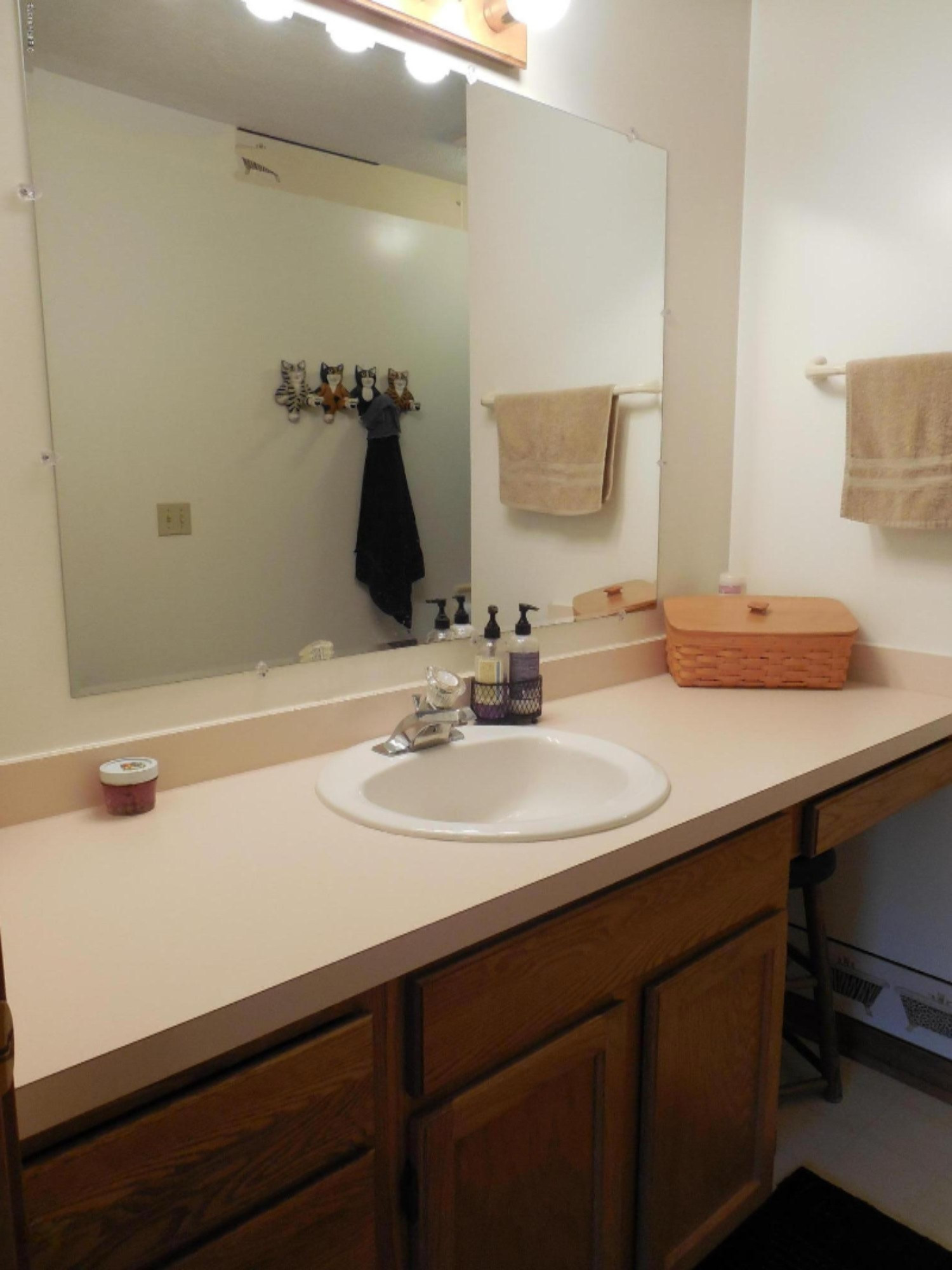 2876 Otto Road Charlotte, MI 48813 - Photo 29 of 50 DSCN0267