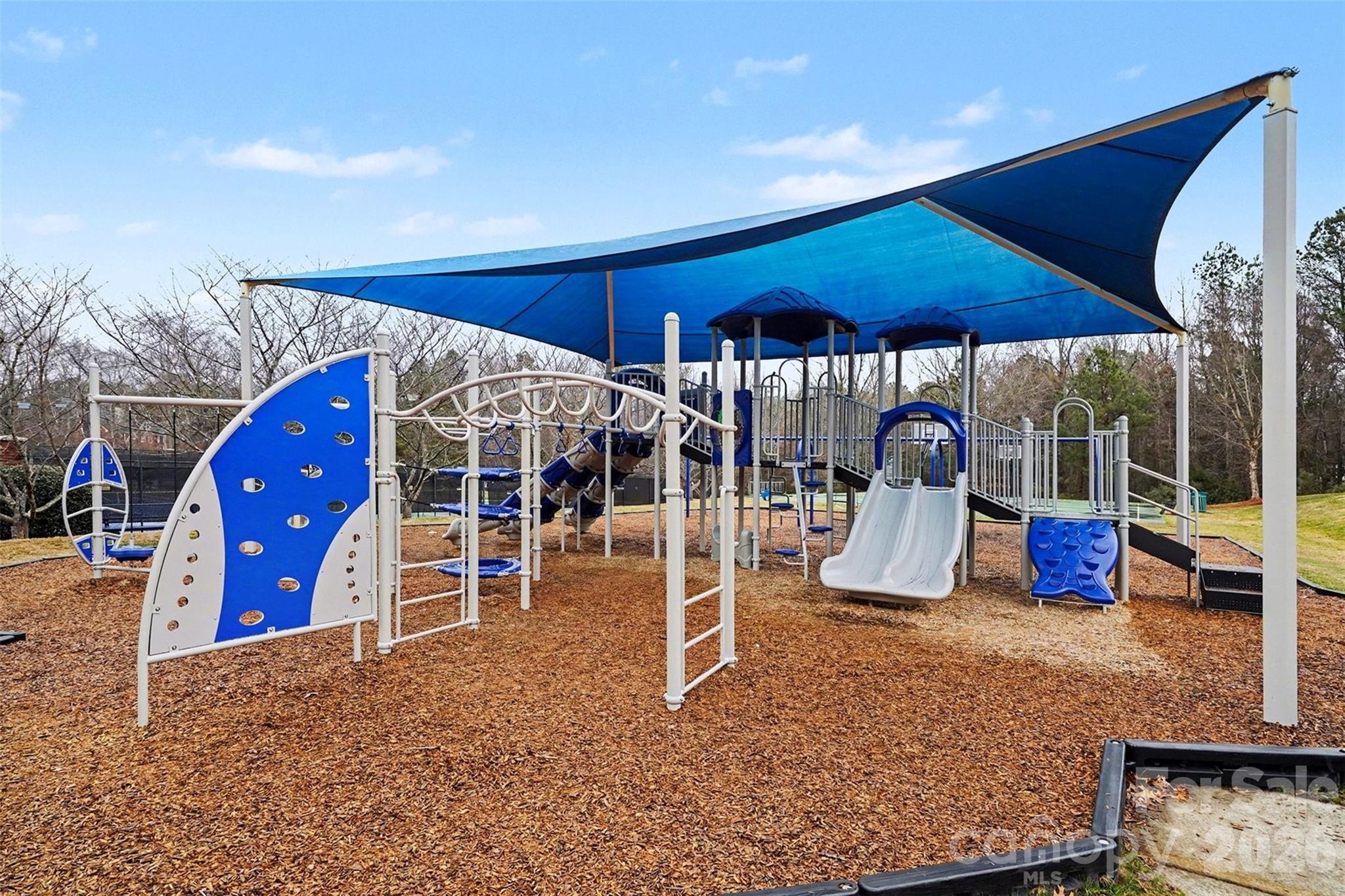 12006 Bridgeview Lane Charlotte, NC 28277 - Photo 46 of 48