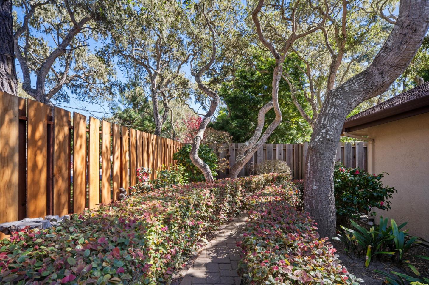2911 Colton Road Pebble Beach, CA 93953 - Photo 46 of 46 a view of backyard with potted plants and large tree