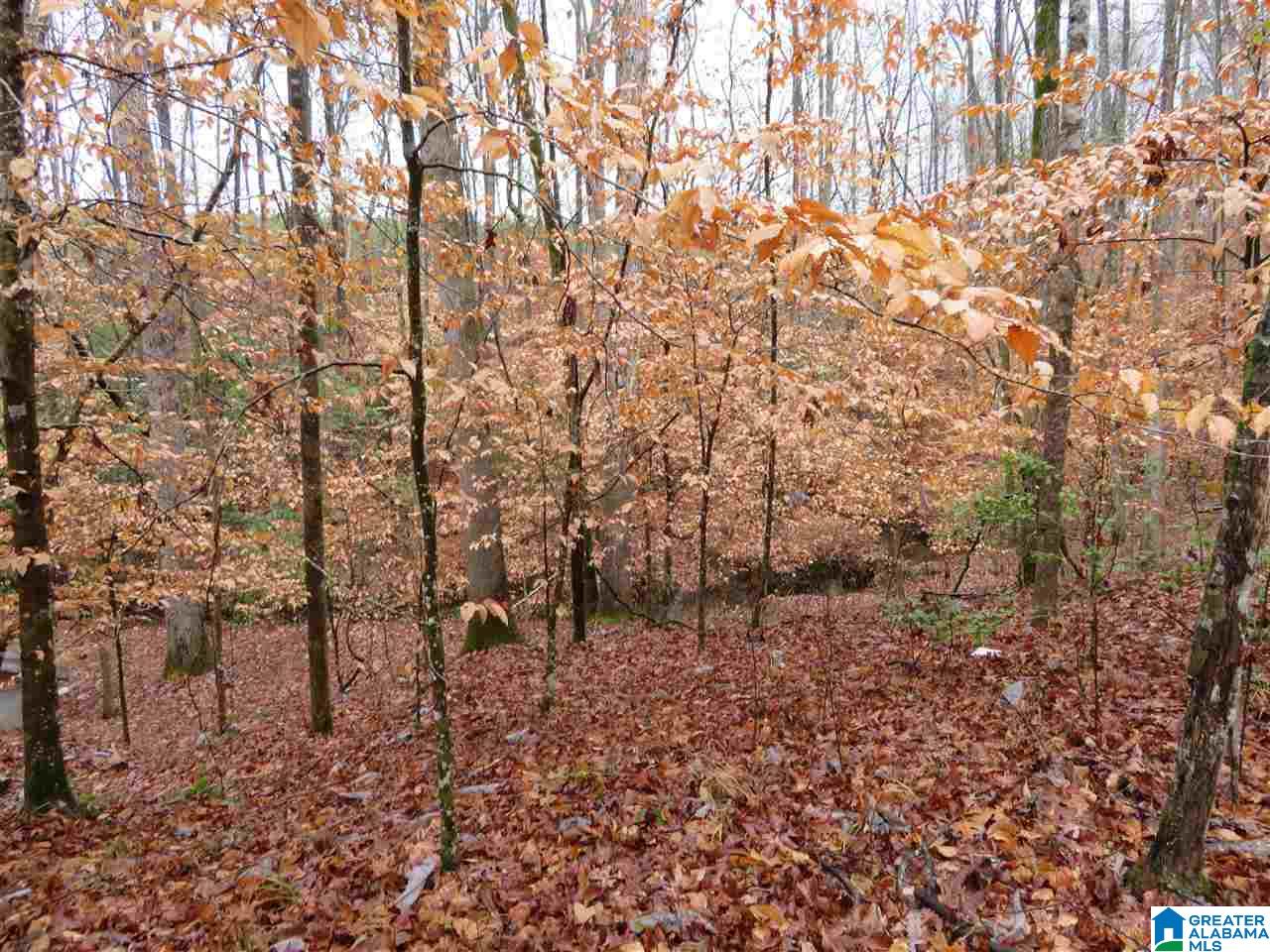 138 Cedar Grove Road West Blocton, AL 35184 - Photo 33 of 44