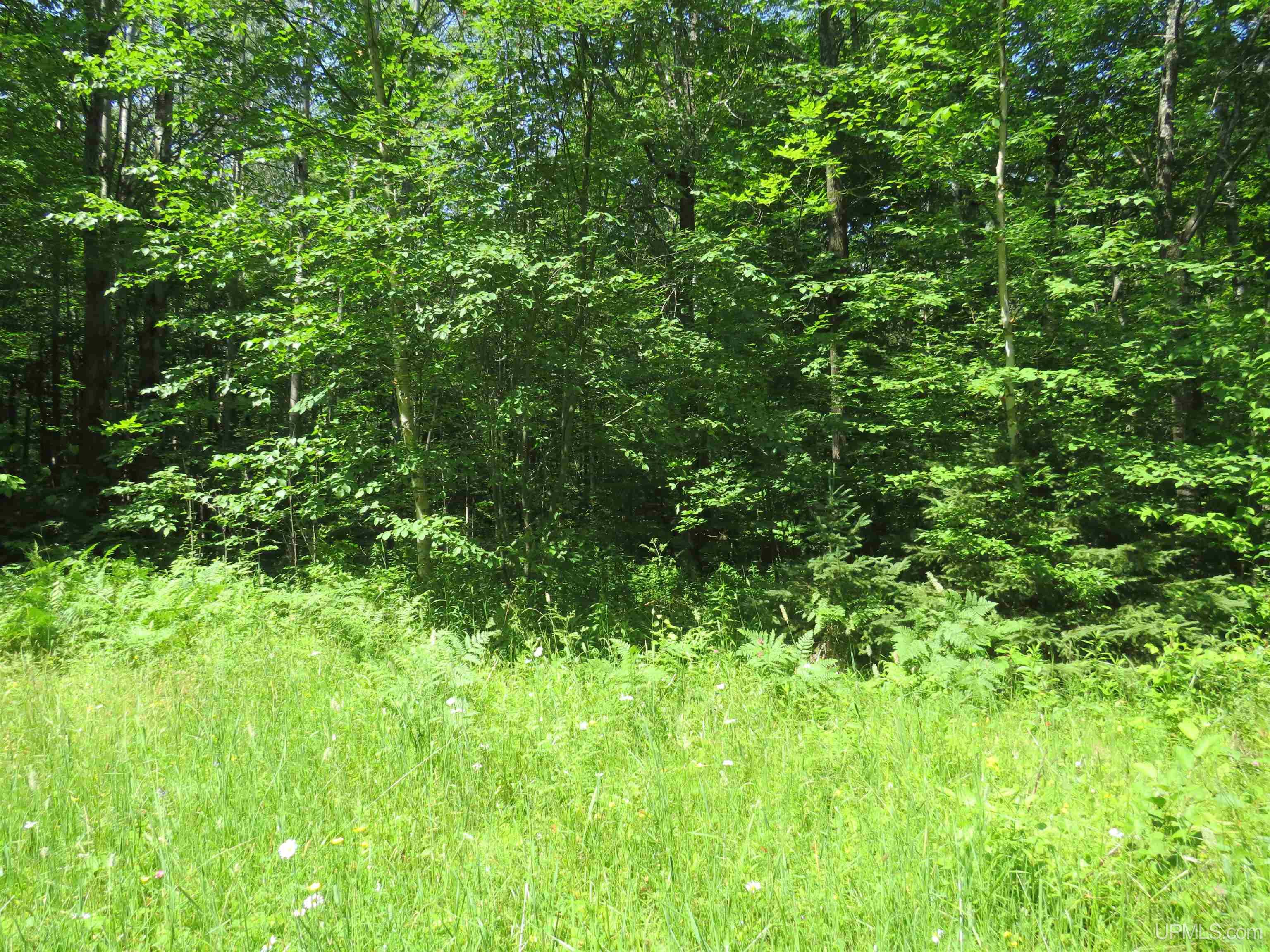 Tbd Curlew Road Ontonagon, MI 49953 - Photo 24 of 36