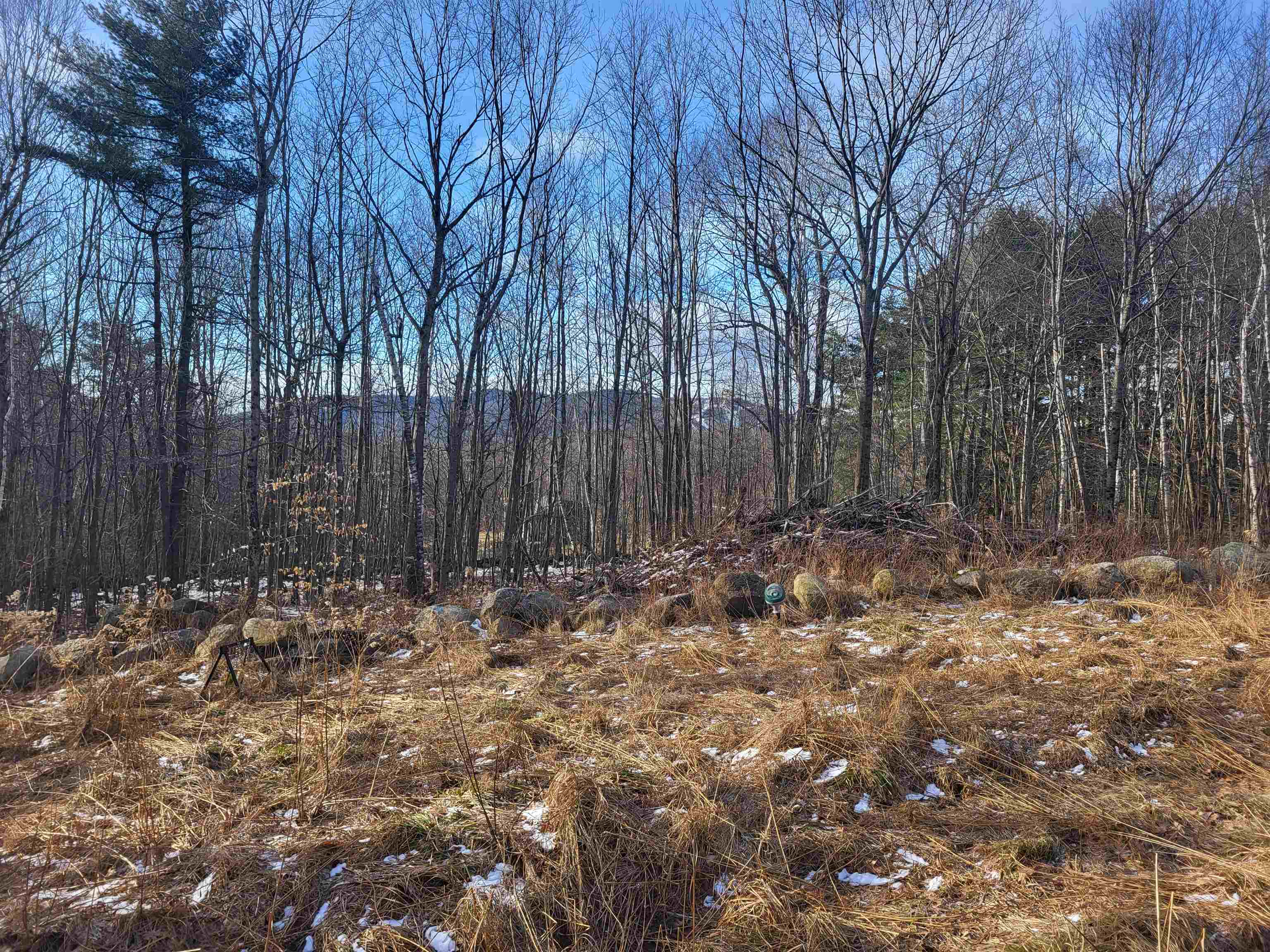 1-1 Sky Farm Road Deering, NH 03244 - Photo 4 of 8 Gallery Image 4