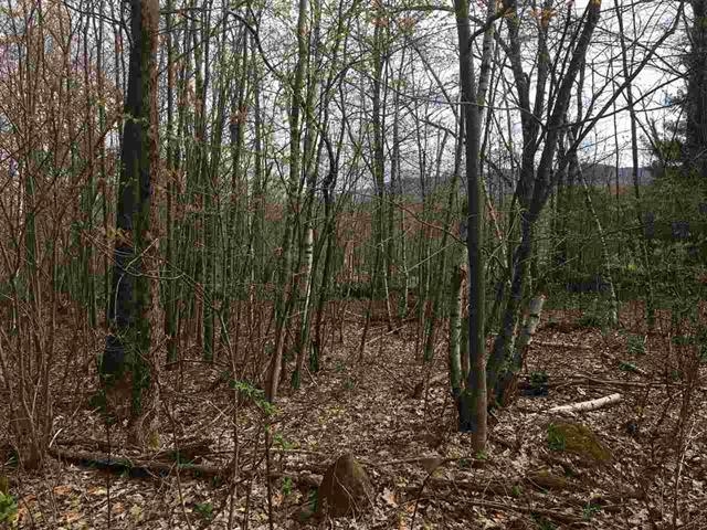 1-1 Sky Farm Road Deering, NH 03244 - Photo 5 of 8 Gallery Image 5