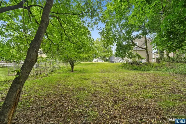 a view of yard with large trees