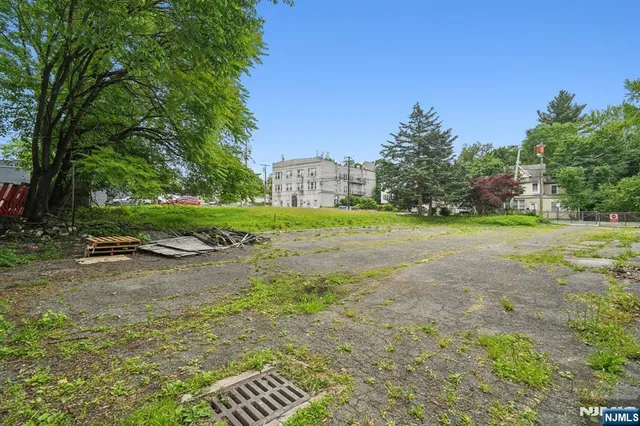 a view of a big yard with large trees