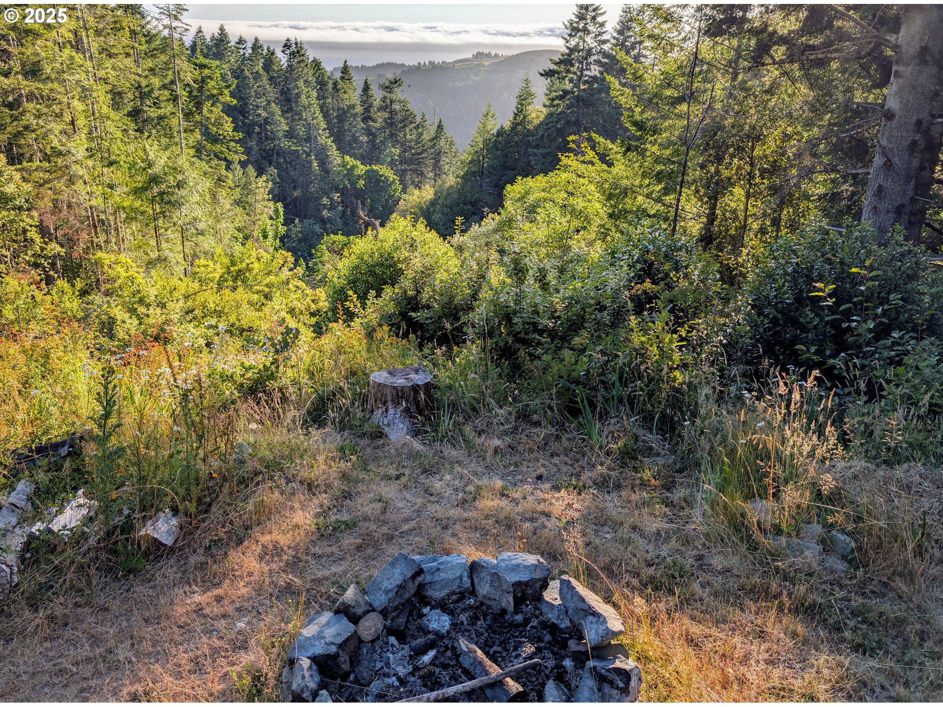 23506 Carpenterville Road Brookings, OR 97415 - Photo 6 of 47 Fire Pit