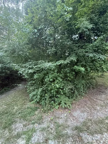 $33,000 | 0 Venus Lane, Pacific, MO 63069