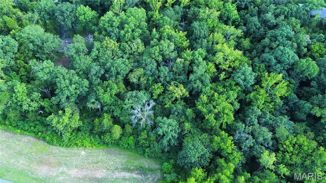 $33,000 | 0 Venus Lane, Pacific, MO 63069