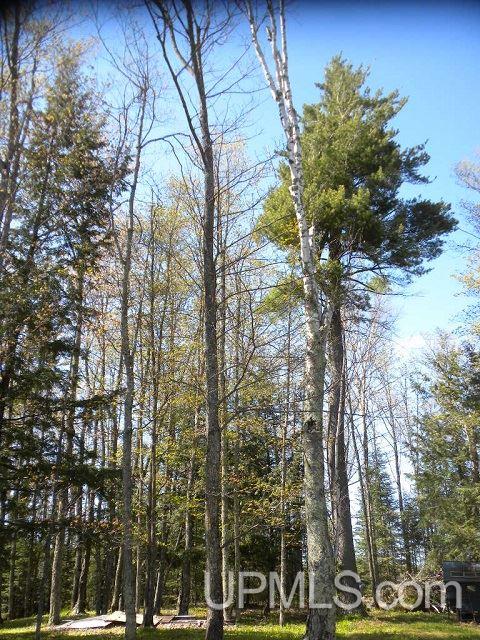 Tbd Clement Road Saxon, WI 54559 - Photo 11 of 34