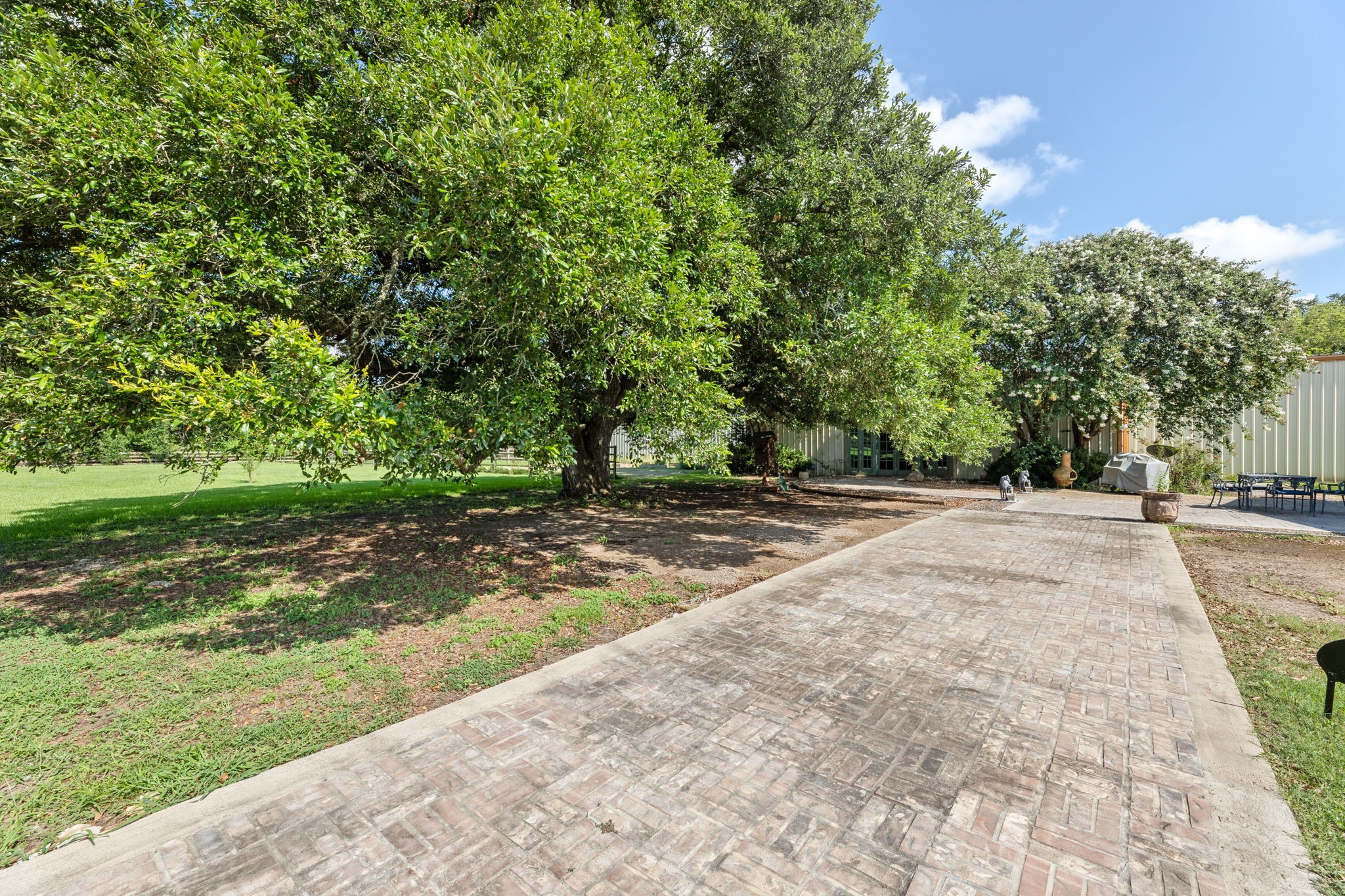 1226 County Road 45 Angleton, TX 77515 - Photo 44 of 44 a view of a yard with plants and trees