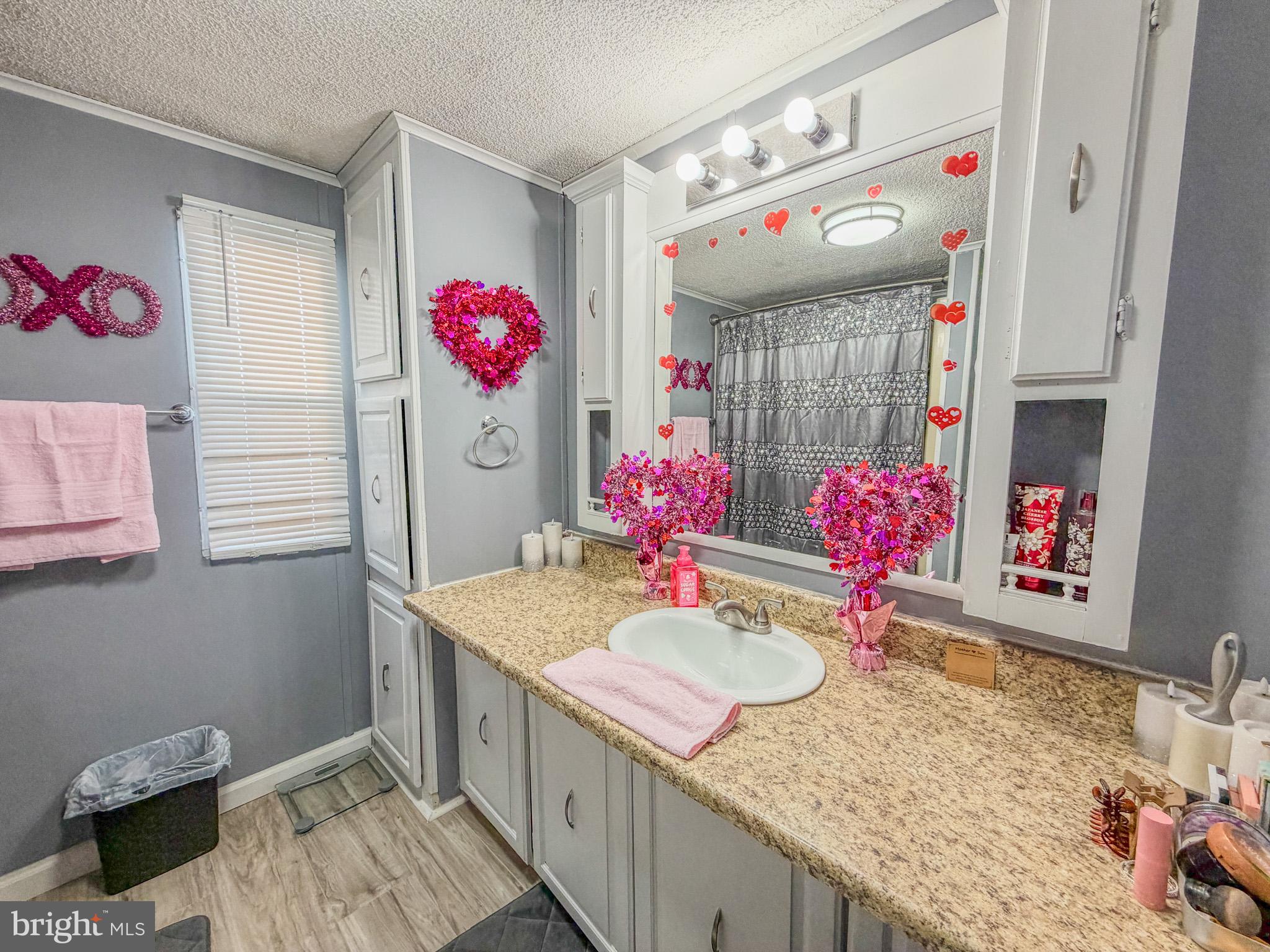 29 West Reybold Drive, Unit 29 Middletown, DE 19709 - Photo 8 of 11 a bathroom with a sink vanity mirror and vanity