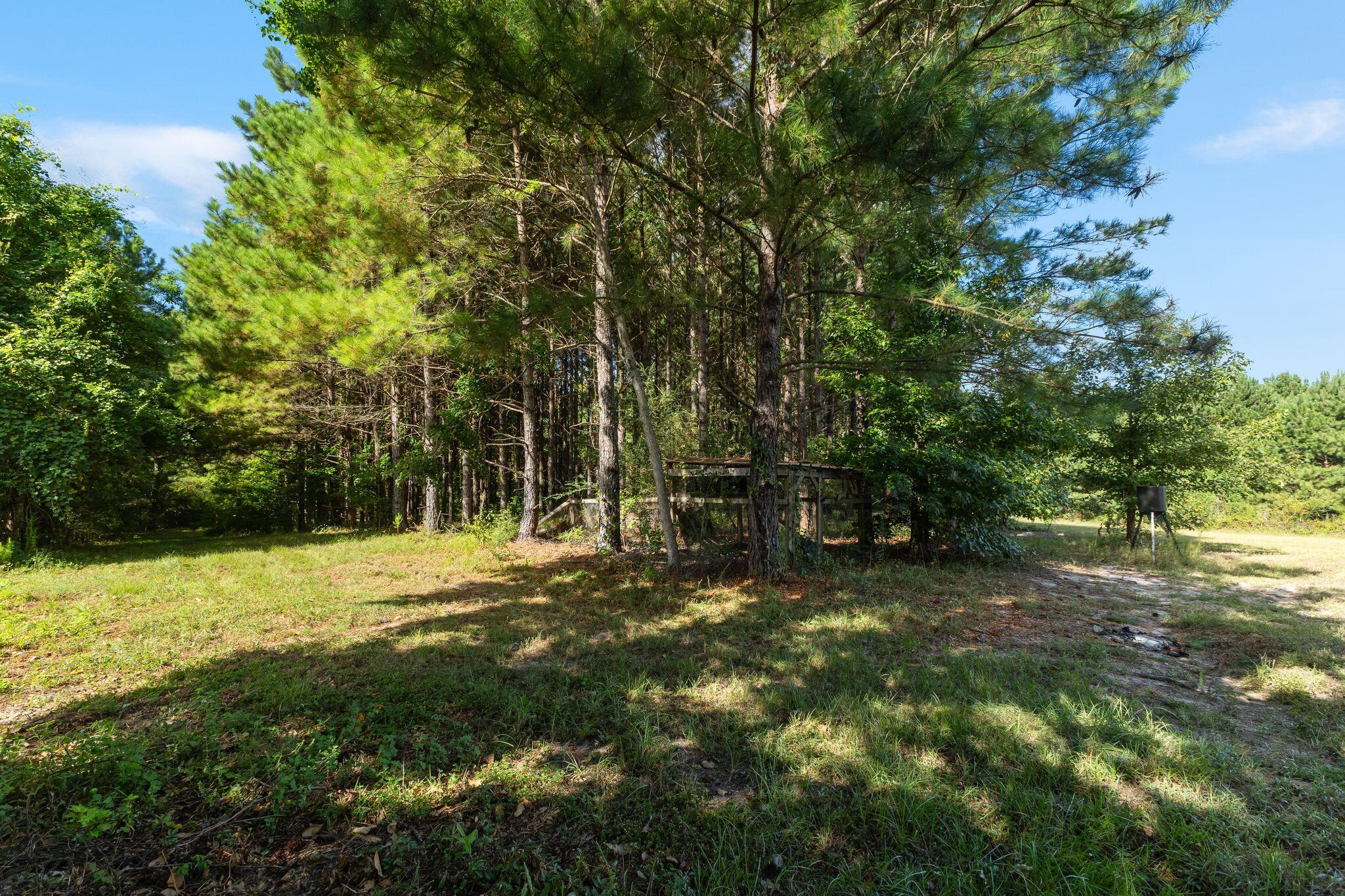 249 Clyde Loftin Road Sumrall, MS 39482 - Photo 45 of 51 Gallery Image 45