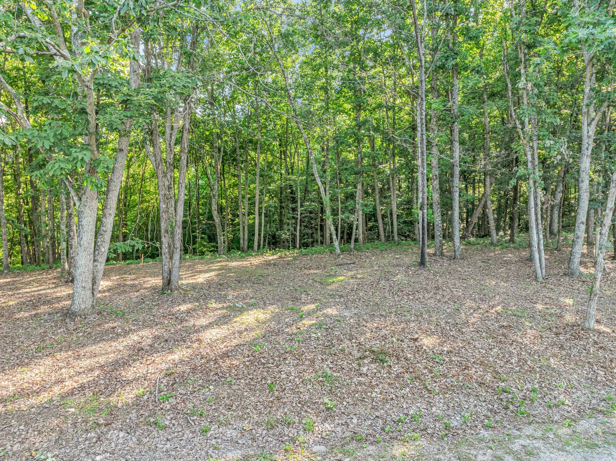 0 Apache Trail Pegram, TN 37143 - Photo 6 of 12