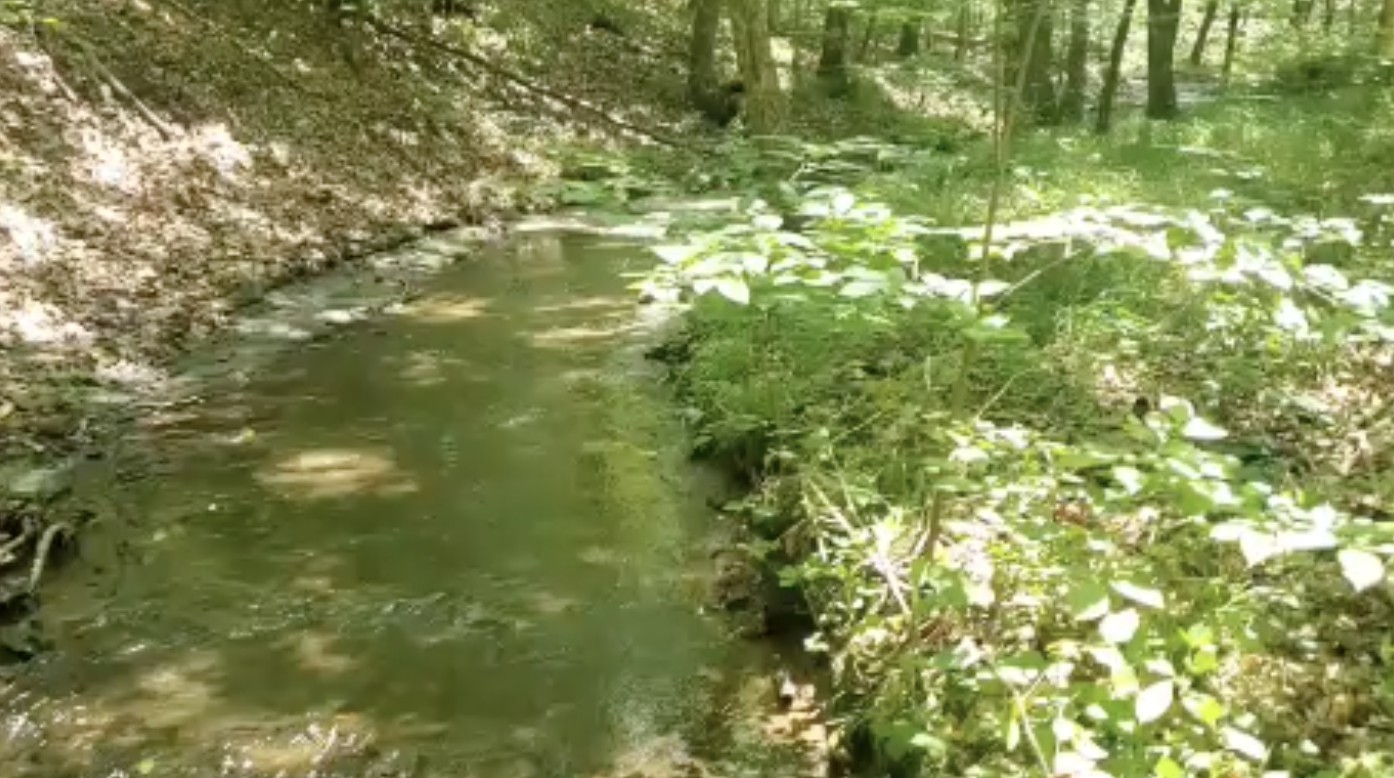 0 Apache Trail Pegram, TN 37143 - Photo 10 of 12