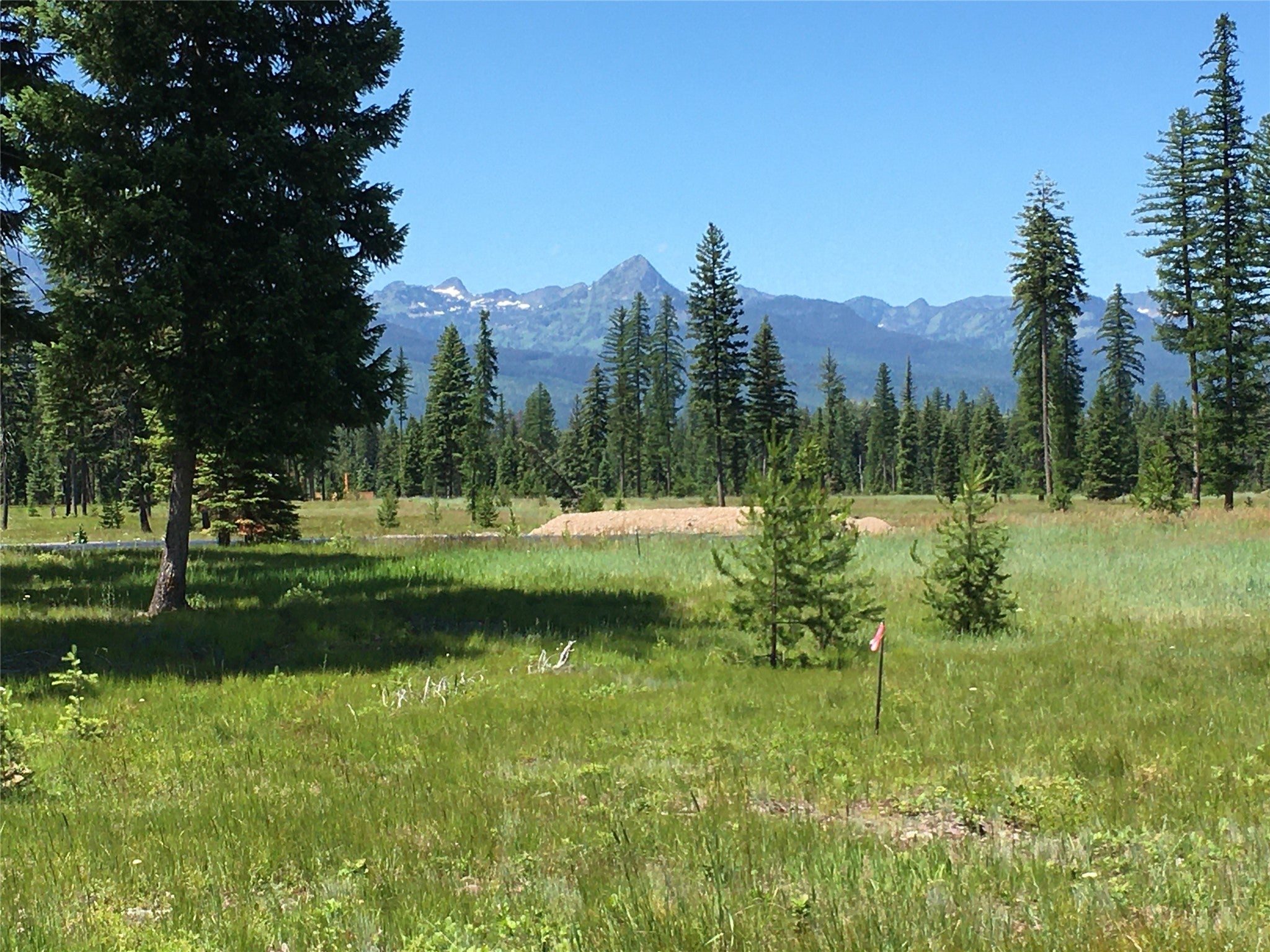 865 Remicks Road Condon, MT 59826 - Photo 5 of 23 Gallery Image 5