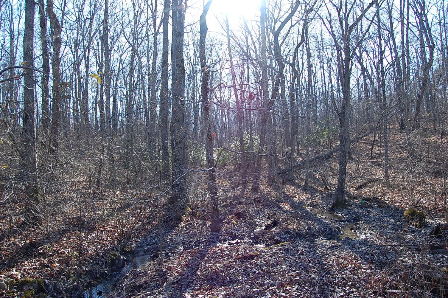 6 Green Forest Road Dunlap, TN 37327 - Photo 11 of 19 Gallery Image 11