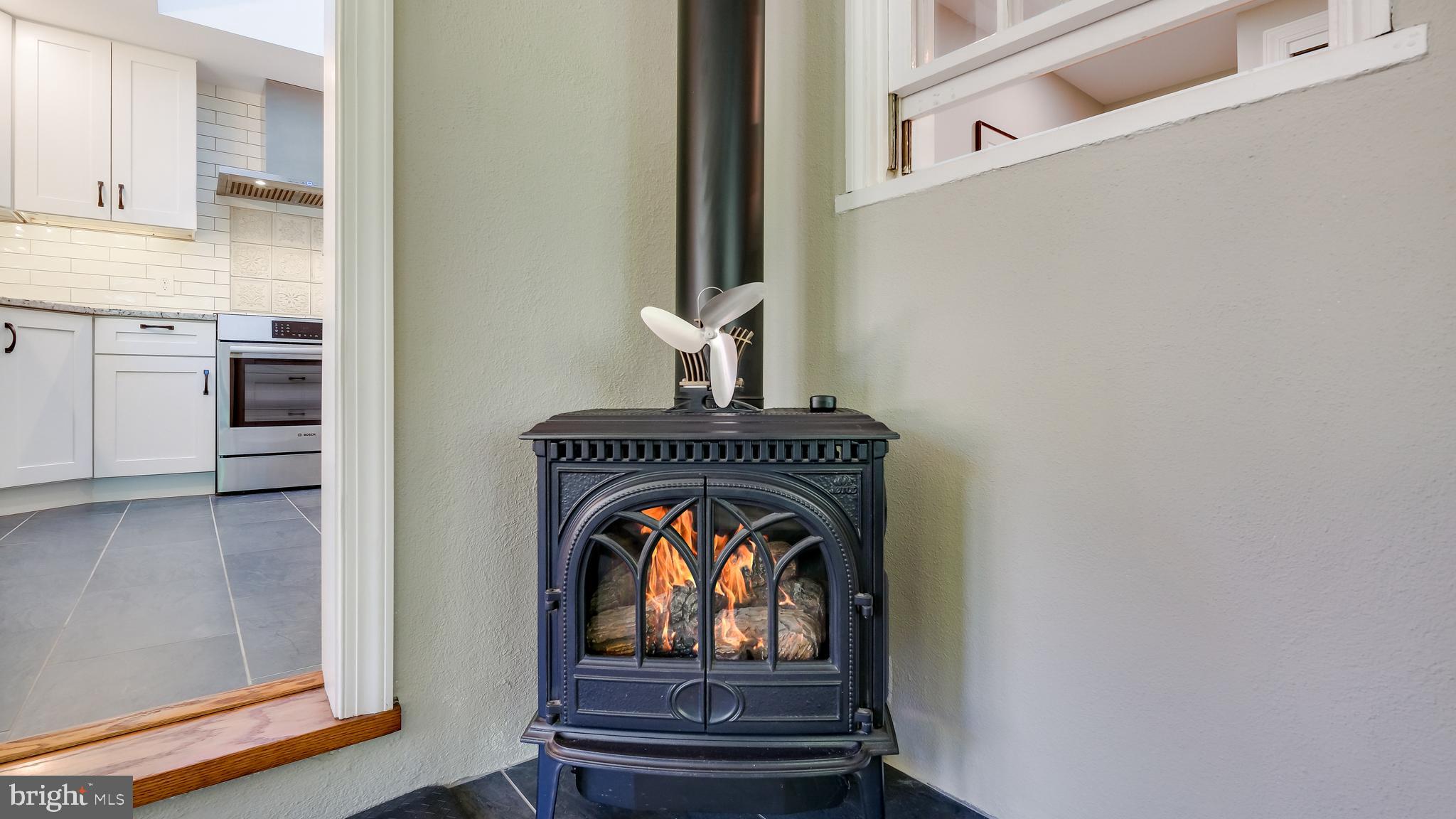 235 North Clinton Street Doylestown, PA 18901 - Photo 18 of 55 a view of fireplace with wooden floor