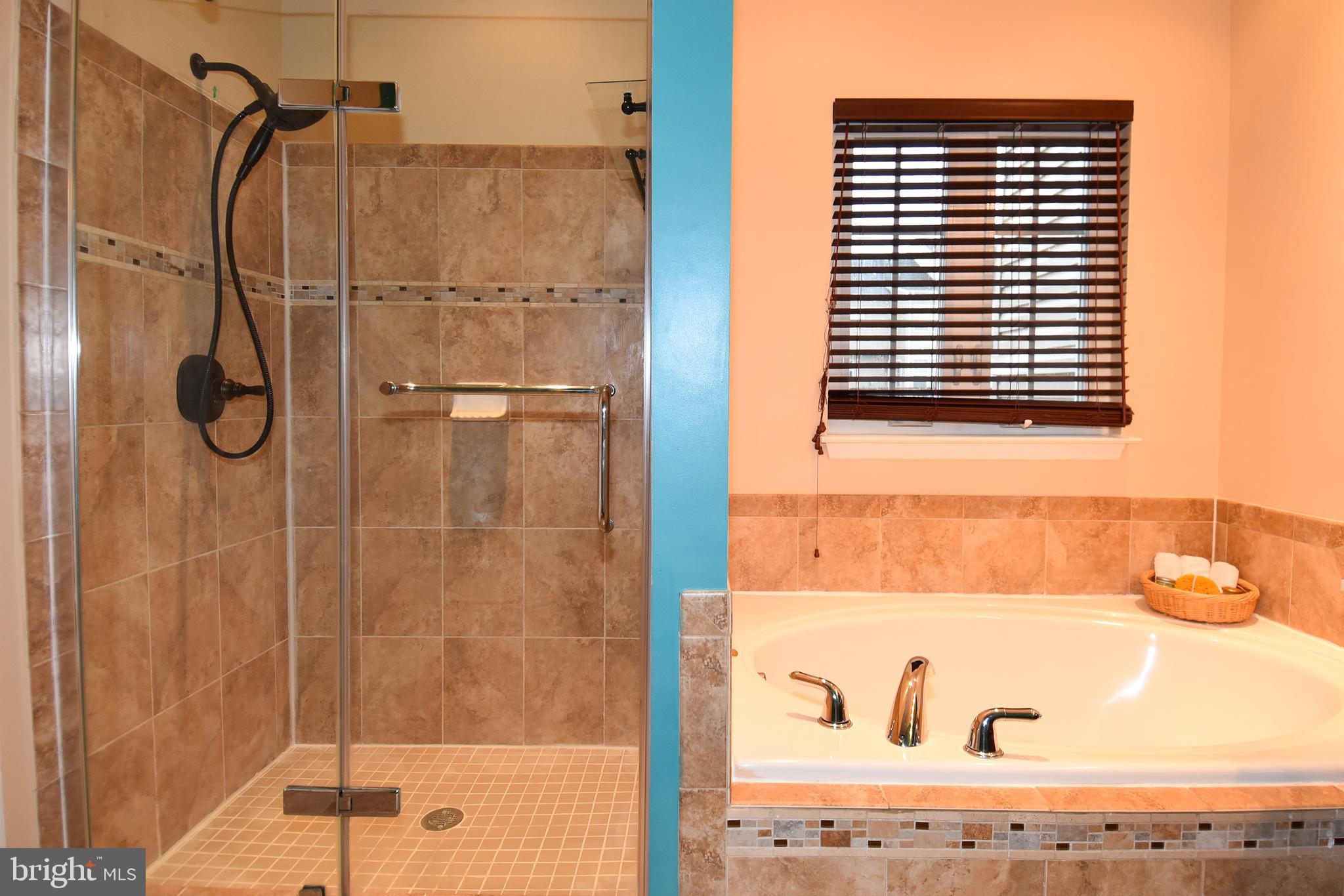 143 Short Branch Road Stafford, VA 22556 - Photo 23 of 36 Soaking Tub and Shower