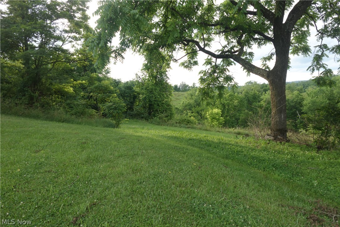 56085 Winding Hill Road Bellaire, OH 43906 - Photo 8 of 12