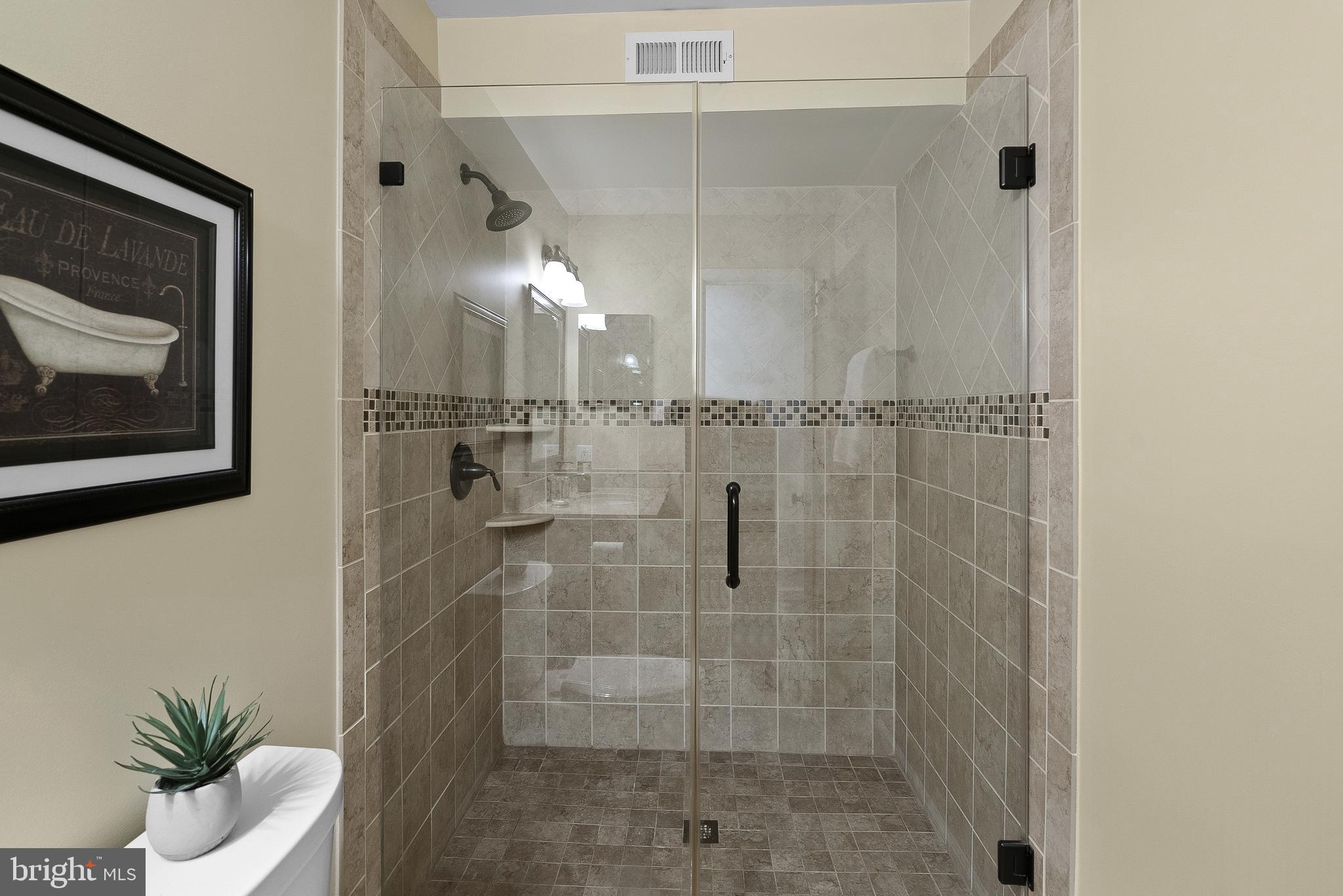 13908 Poplar Tree Road Chantilly, VA 20151 - Photo 60 of 77 Full Bath in Lower Level
