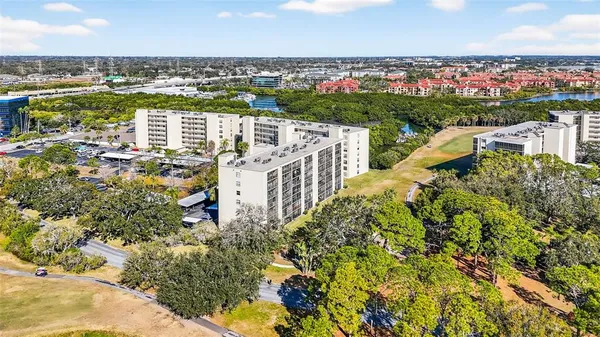 a view of a yard with palm trees