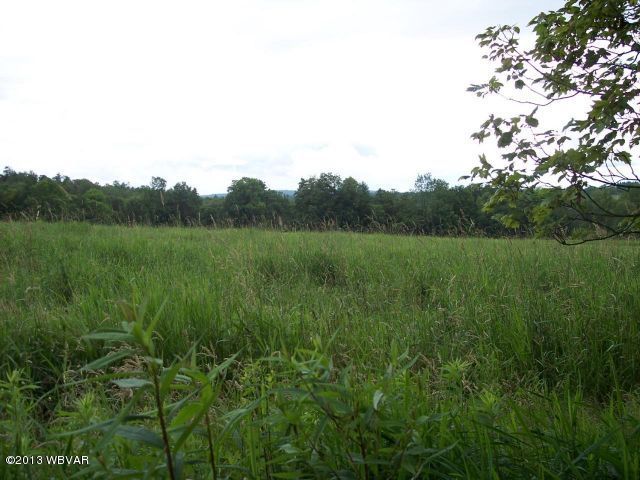 4007 Dykes Road Forksville, PA 18616 - Photo 1 of 1 Land