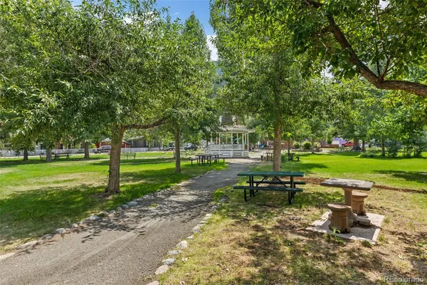 a view of a park with large trees