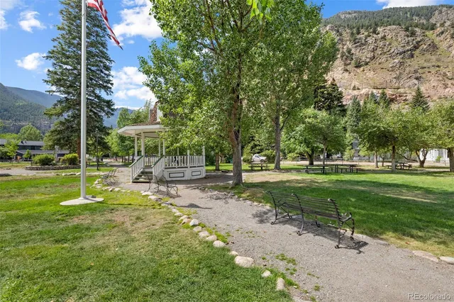 a view of a park with tree s