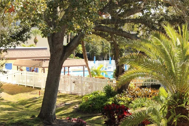 a view of a chairs and table in backyard of the house