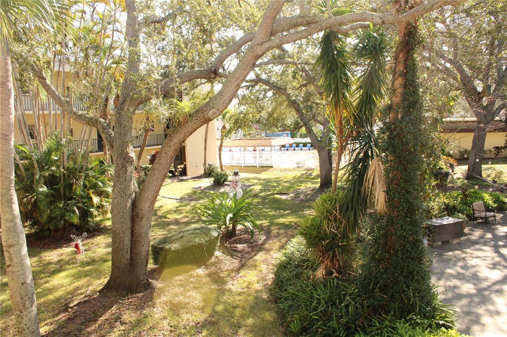 11485 Oakhurst Road, Unit 1200215 Largo, FL 33774 - Photo 36 of 68 a view of a yard with large tree